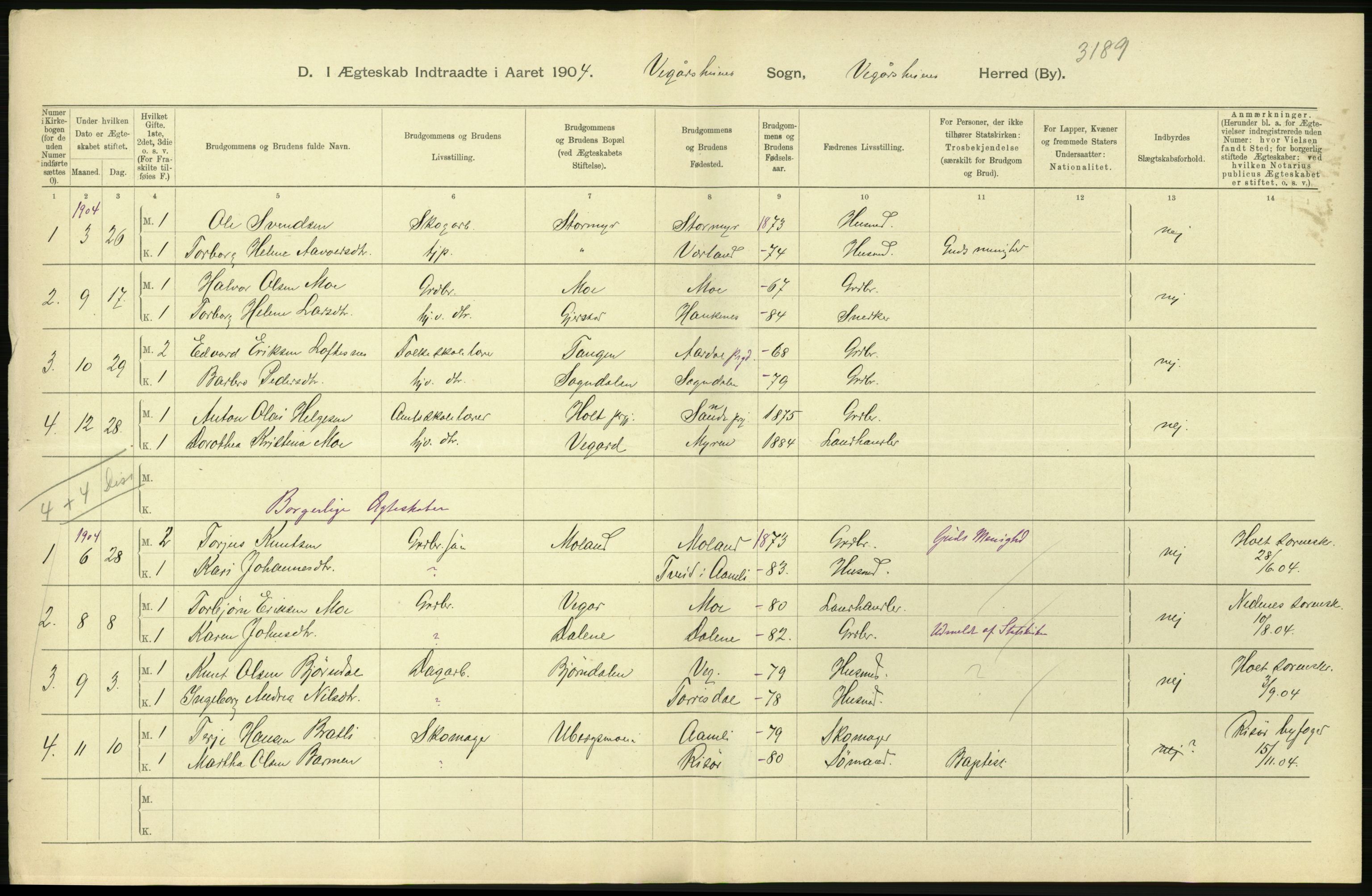 Statistisk sentralbyrå, Sosiodemografiske emner, Befolkning, AV/RA-S-2228/D/Df/Dfa/Dfab/L0010: Nedenes amt: Fødte, gifte, døde, 1904, p. 394