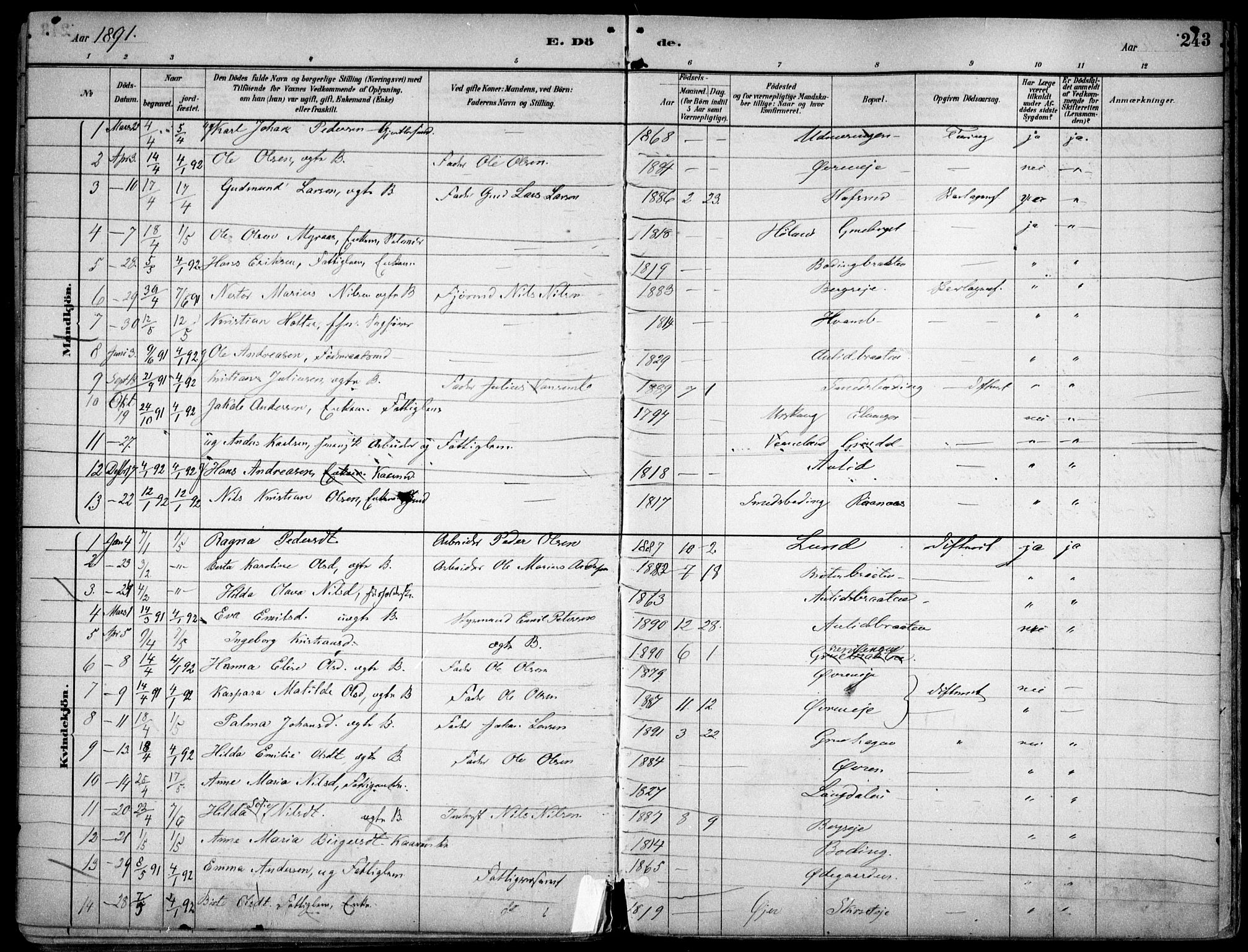 Nes prestekontor Kirkebøker, AV/SAO-A-10410/F/Fc/L0002: Parish register (official) no. IIi 2, 1882-1916, p. 243