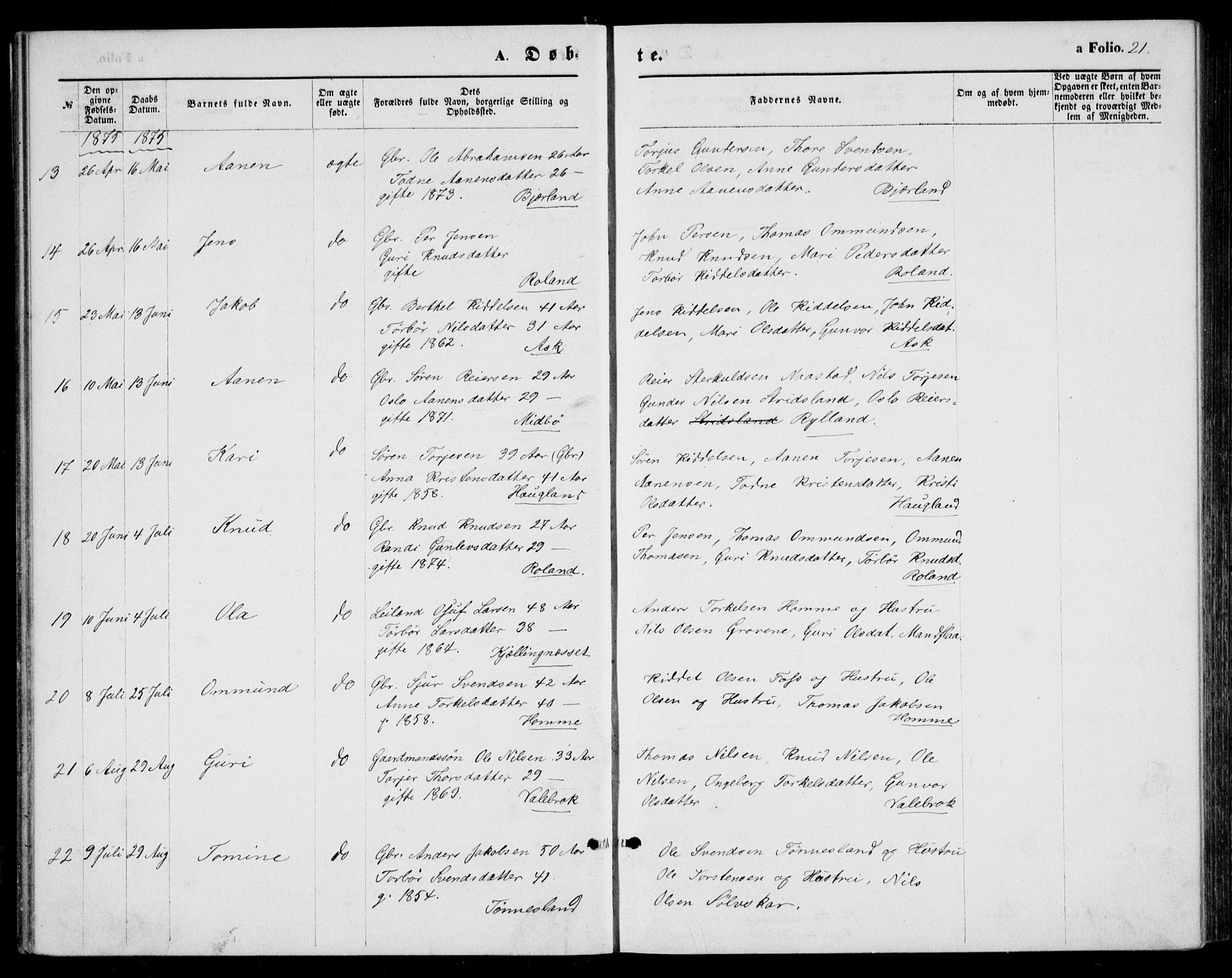 Bjelland sokneprestkontor, AV/SAK-1111-0005/F/Fb/Fba/L0004: Parish register (copy) no. B 4, 1869-1886, p. 21