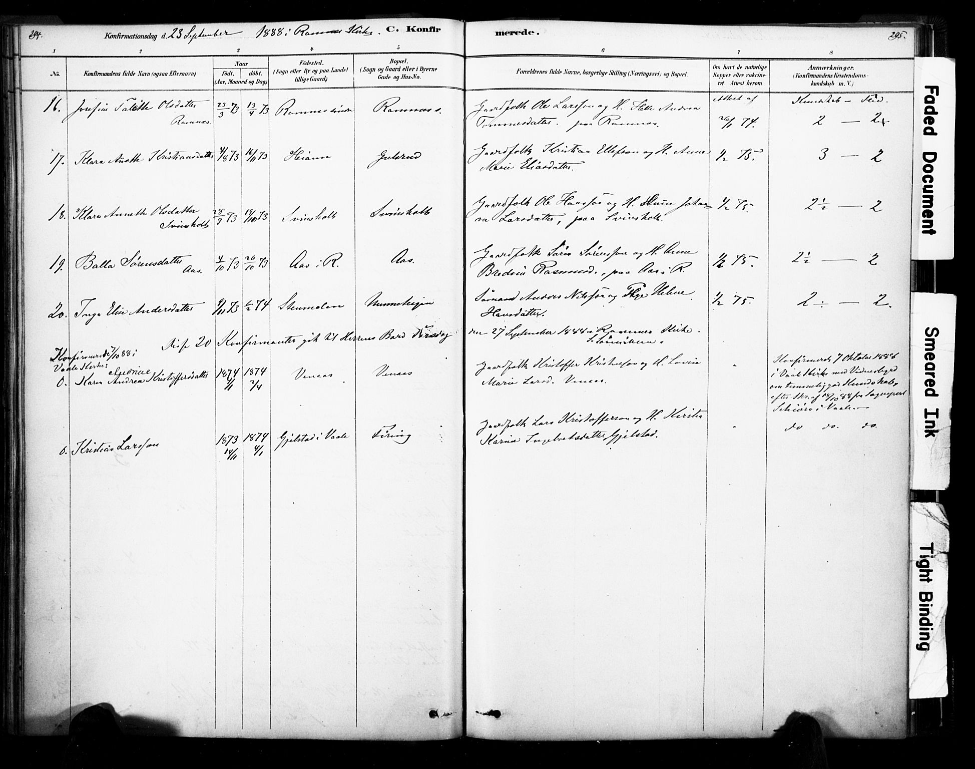 Ramnes kirkebøker, SAKO/A-314/F/Fa/L0007: Parish register (official) no. I 7, 1878-1895, p. 294-295