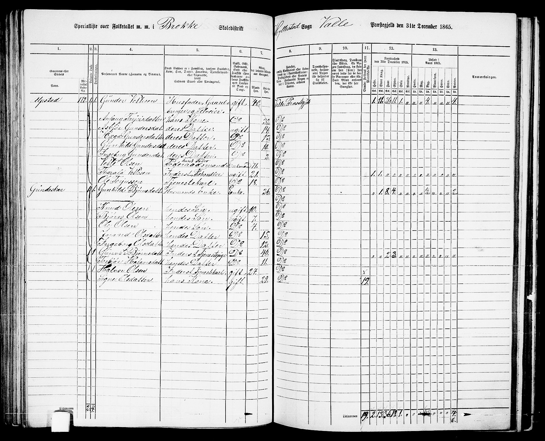 RA, 1865 census for Valle, 1865, p. 102