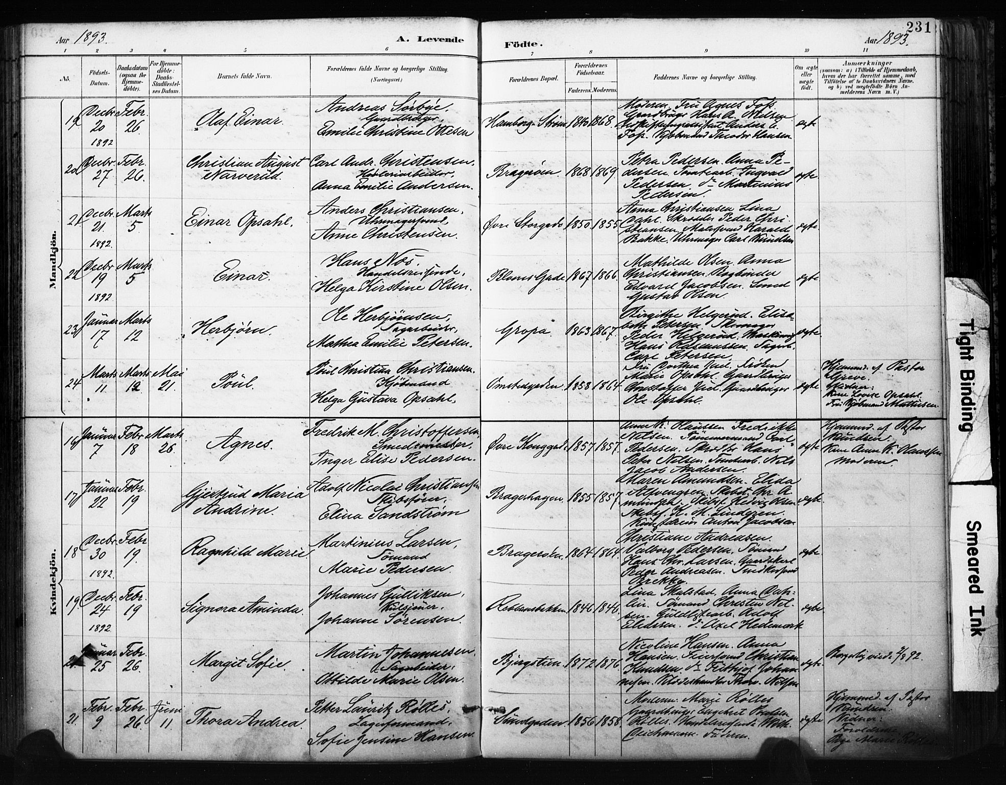 Bragernes kirkebøker, AV/SAKO-A-6/F/Fb/L0007: Parish register (official) no. II 7, 1885-1893, p. 231