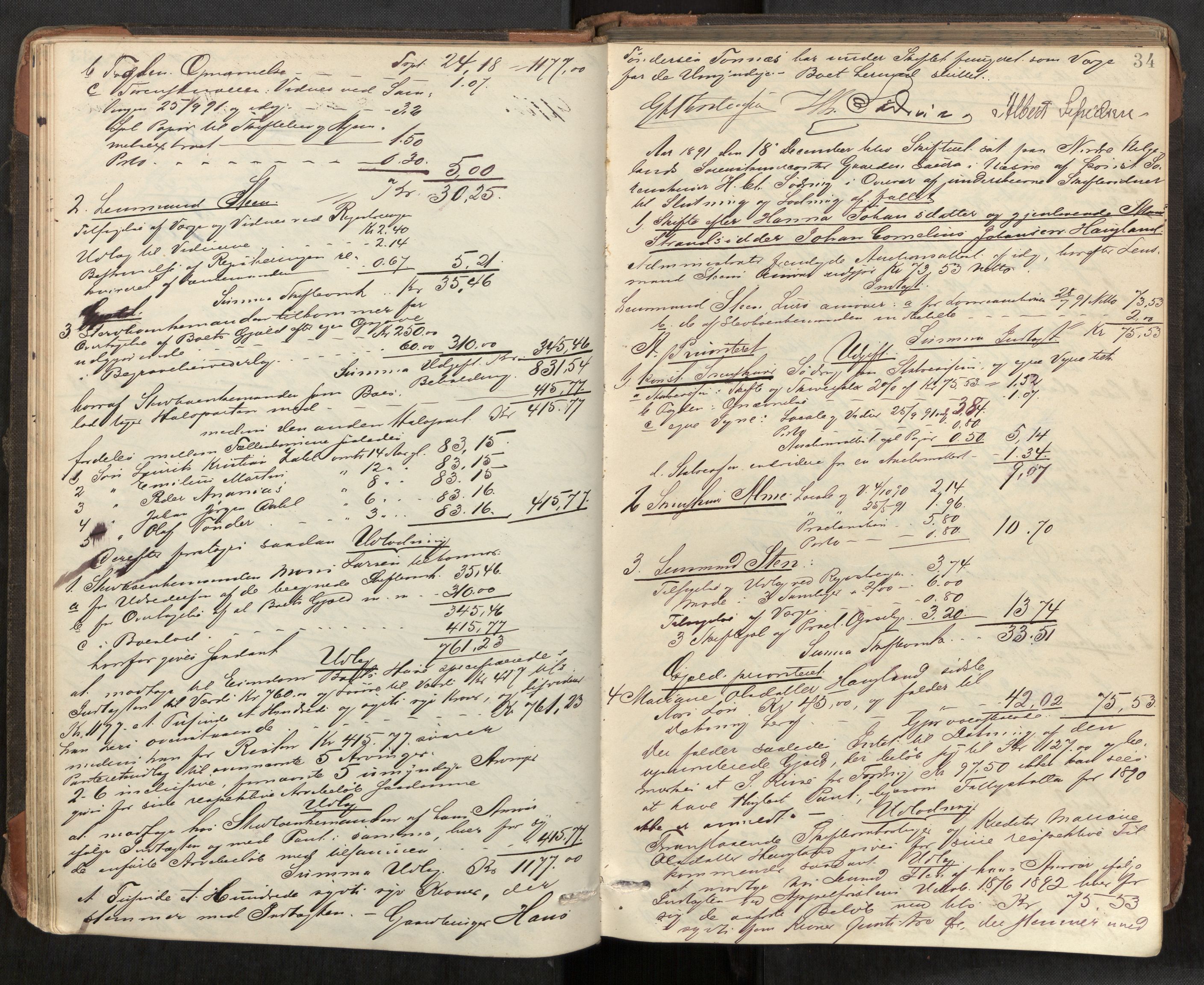 Rana sorenskriveri , AV/SAT-A-1108/1/3/3A/L0006: Skifteslutningsprotokoll, 1891-1896, p. 34