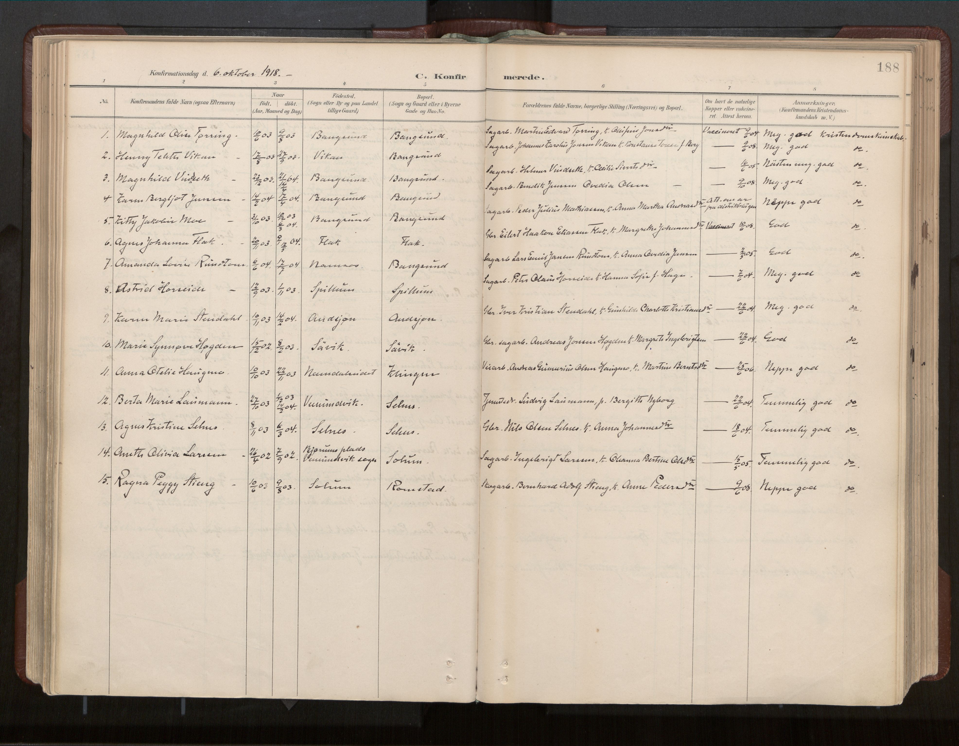 Ministerialprotokoller, klokkerbøker og fødselsregistre - Nord-Trøndelag, SAT/A-1458/770/L0589: Parish register (official) no. 770A03, 1887-1929, p. 188