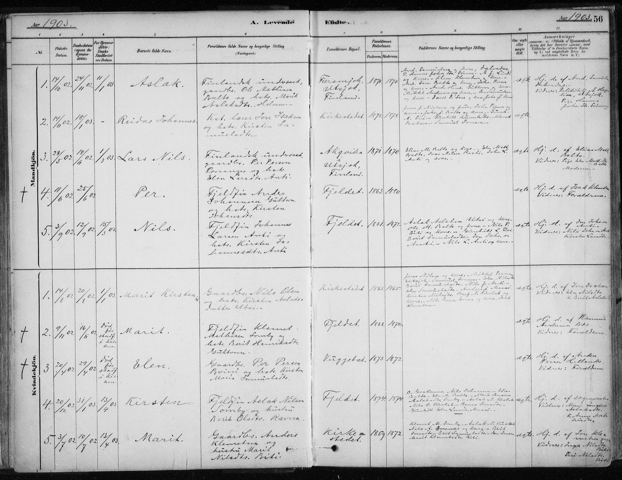 Karasjok sokneprestkontor, SATØ/S-1352/H/Ha/L0002kirke: Parish register (official) no. 2, 1885-1906, p. 56
