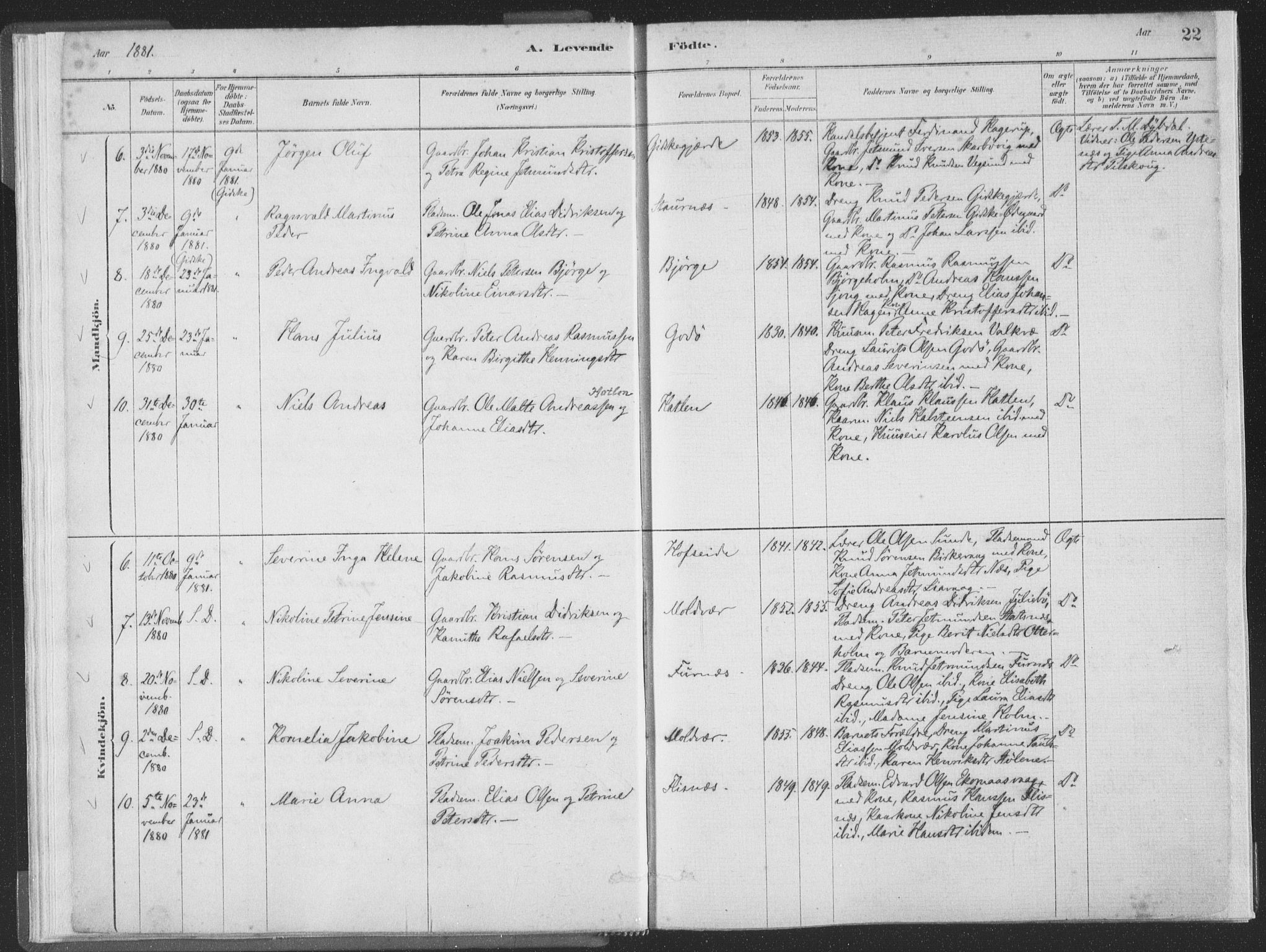 Ministerialprotokoller, klokkerbøker og fødselsregistre - Møre og Romsdal, SAT/A-1454/528/L0401: Parish register (official) no. 528A12I, 1880-1920, p. 22