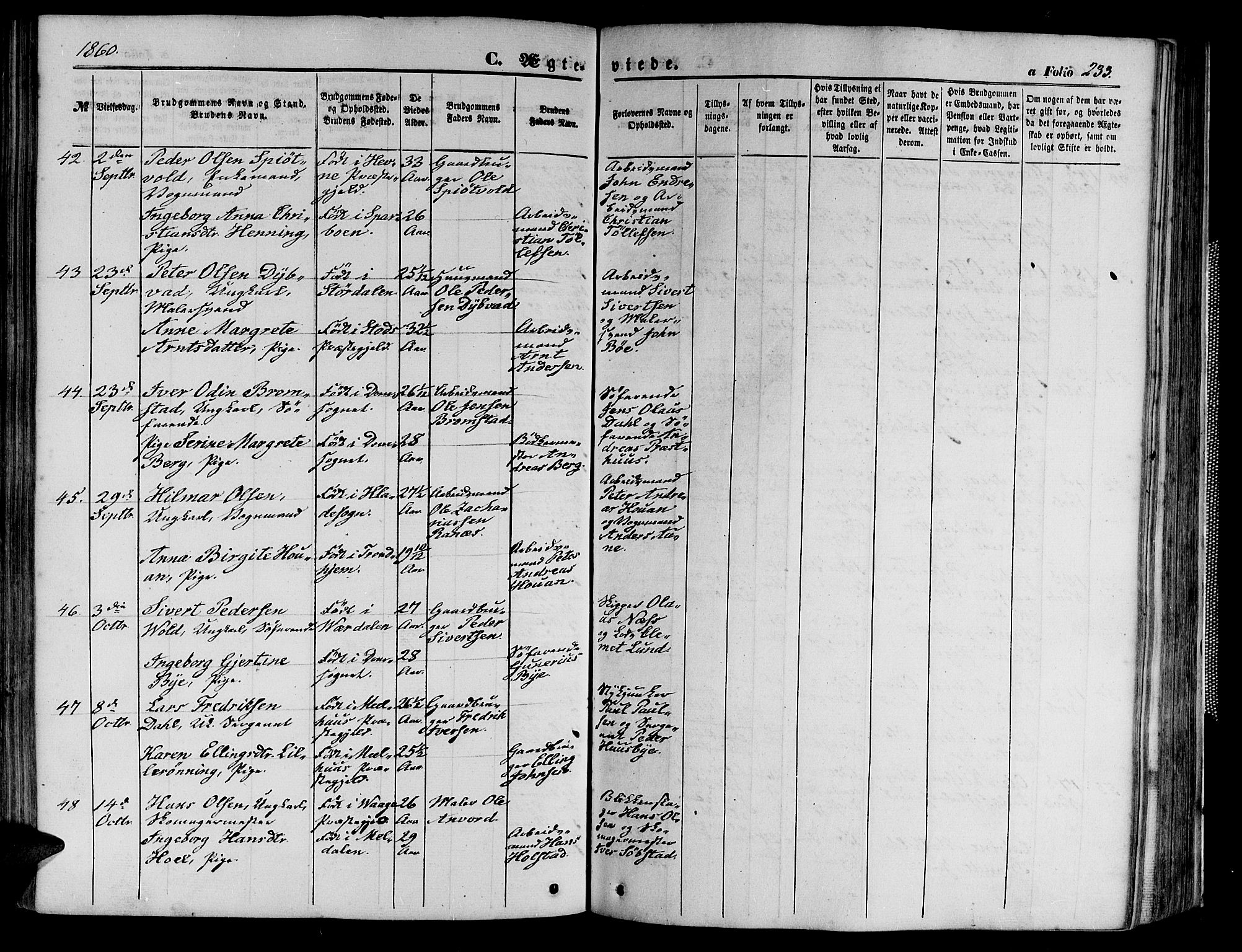 Ministerialprotokoller, klokkerbøker og fødselsregistre - Sør-Trøndelag, AV/SAT-A-1456/602/L0139: Parish register (copy) no. 602C07, 1859-1864, p. 233