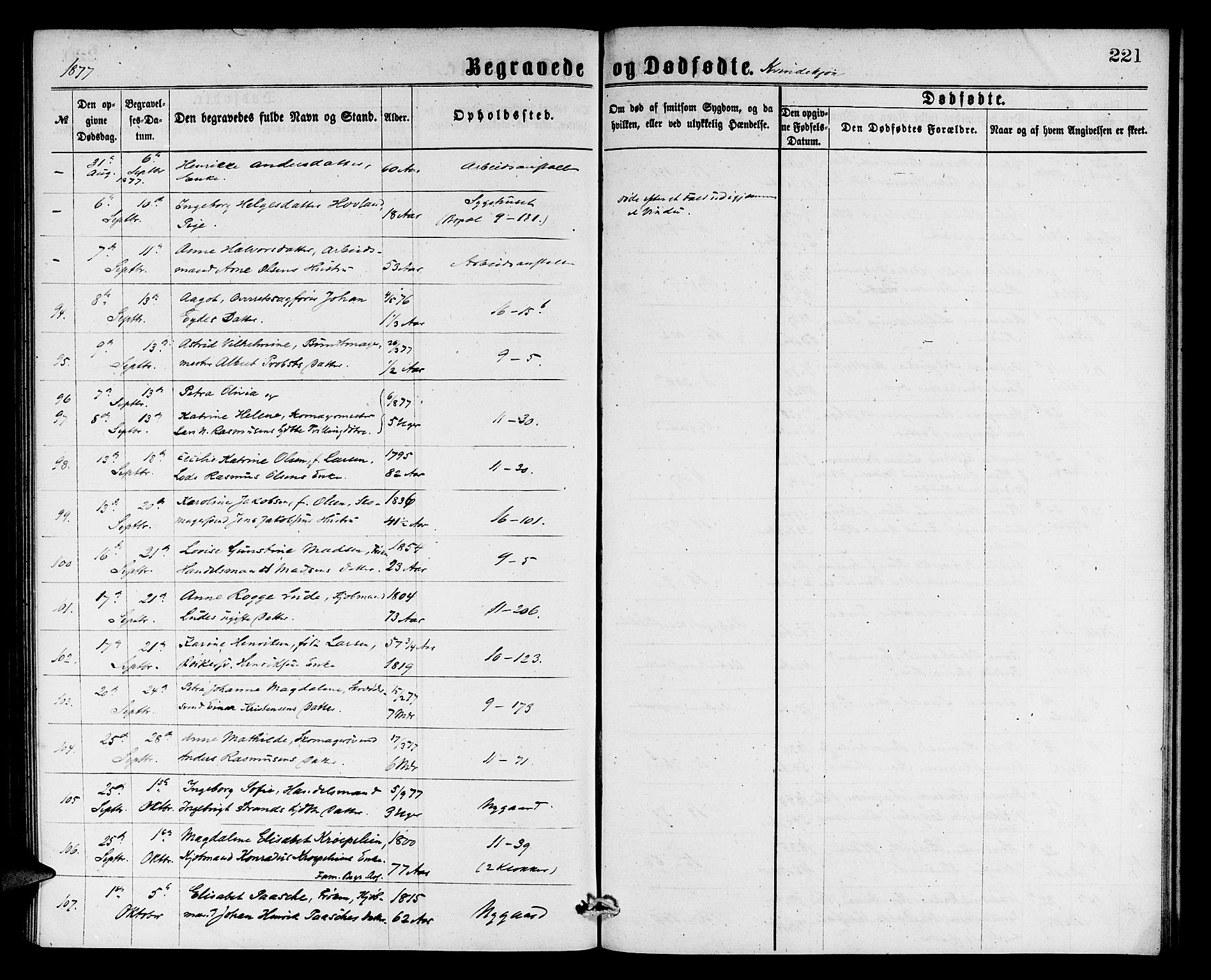 Domkirken sokneprestembete, AV/SAB-A-74801/H/Hab/L0040: Parish register (copy) no. E 4, 1868-1877, p. 221