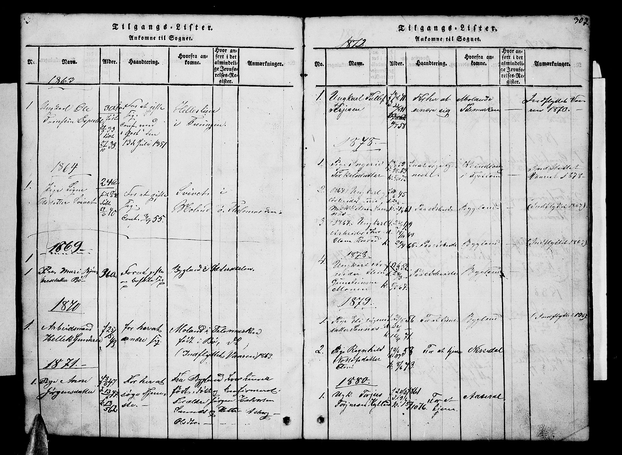 Åmli sokneprestkontor, AV/SAK-1111-0050/F/Fb/Fba/L0001: Parish register (copy) no. B 1, 1816-1890, p. 303