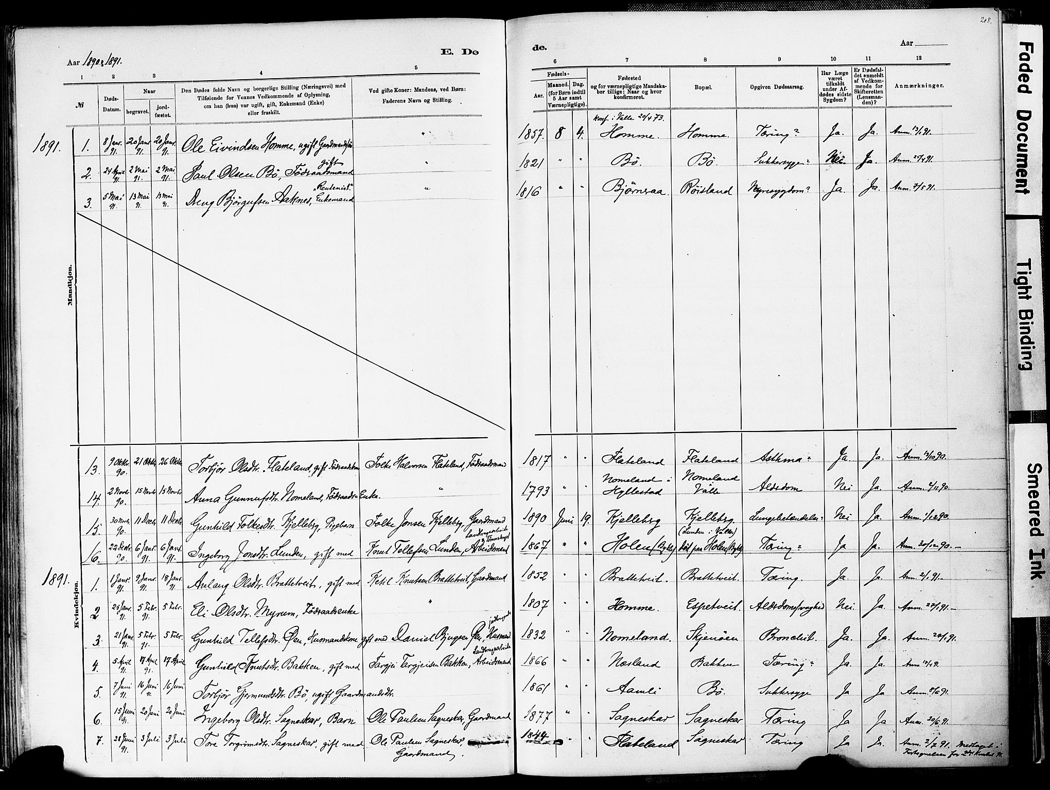 Valle sokneprestkontor, AV/SAK-1111-0044/F/Fa/Fac/L0009: Parish register (official) no. A 9, 1882-1913, p. 208