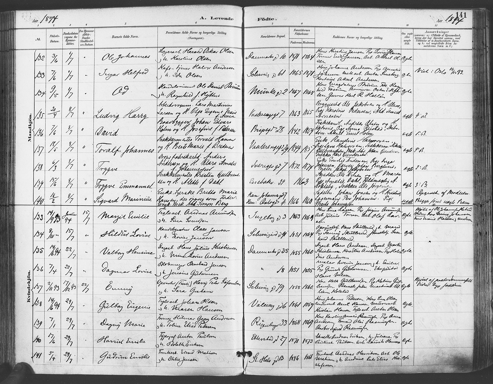 Gamlebyen prestekontor Kirkebøker, SAO/A-10884/F/Fa/L0007: Parish register (official) no. 7, 1889-1899, p. 141