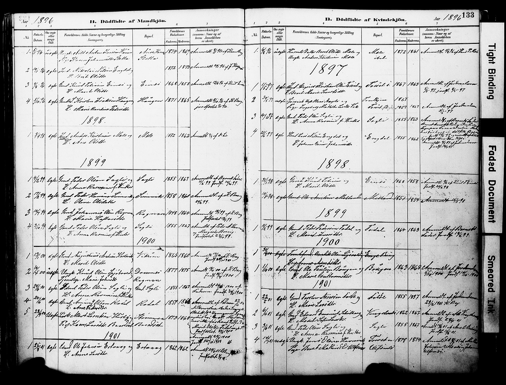 Ministerialprotokoller, klokkerbøker og fødselsregistre - Møre og Romsdal, SAT/A-1454/578/L0907: Parish register (official) no. 578A06, 1887-1904, p. 133