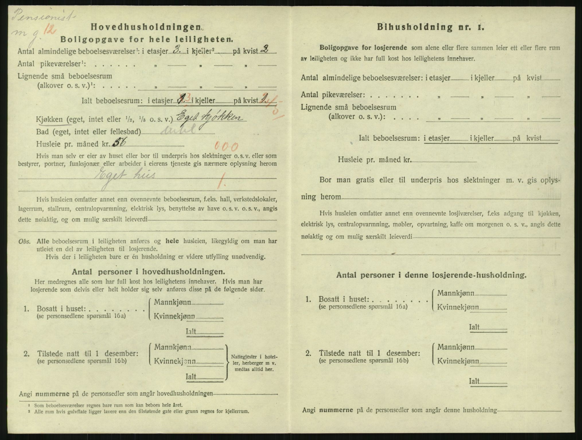 SAKO, 1920 census for Horten, 1920, p. 3510