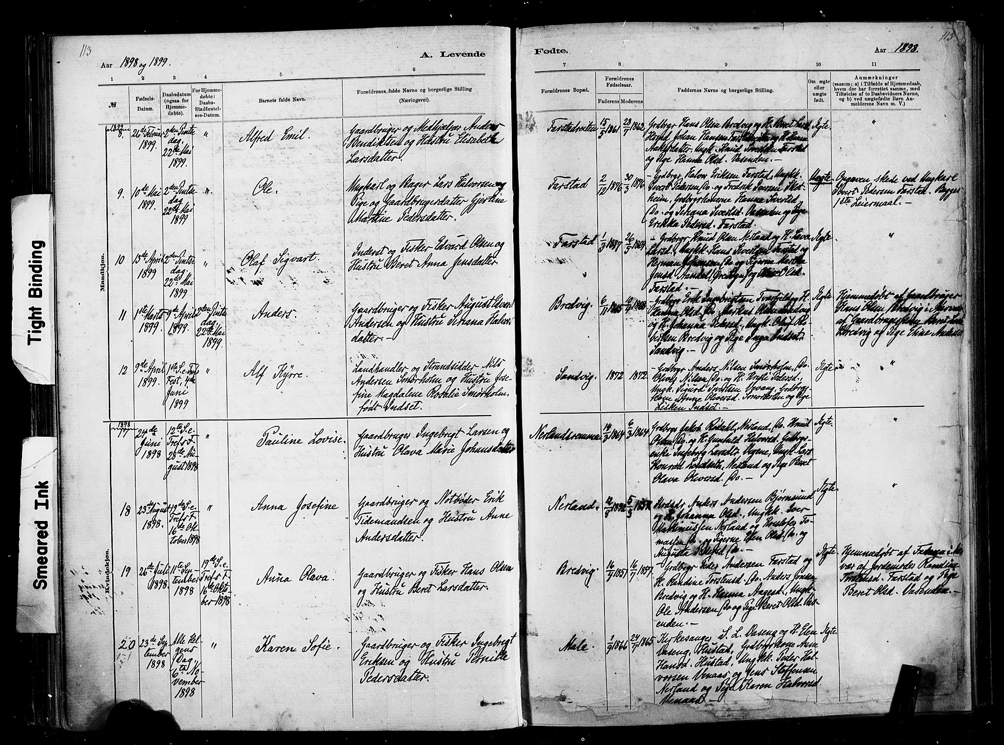 Ministerialprotokoller, klokkerbøker og fødselsregistre - Møre og Romsdal, SAT/A-1454/567/L0778: Parish register (official) no. 567A01, 1881-1903, p. 113