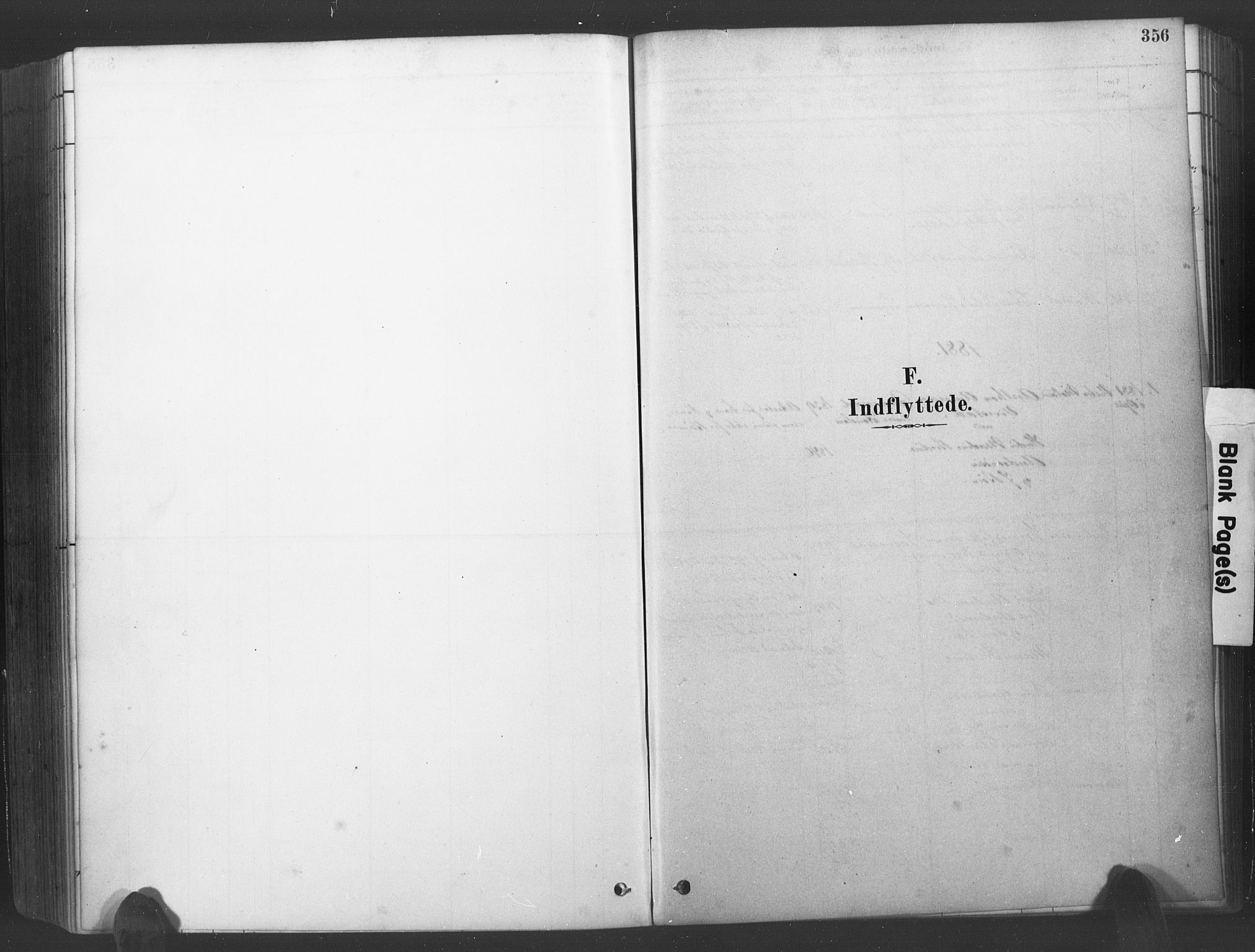 Søgne sokneprestkontor, SAK/1111-0037/F/Fa/Fab/L0012: Parish register (official) no. A 12, 1880-1891, p. 356