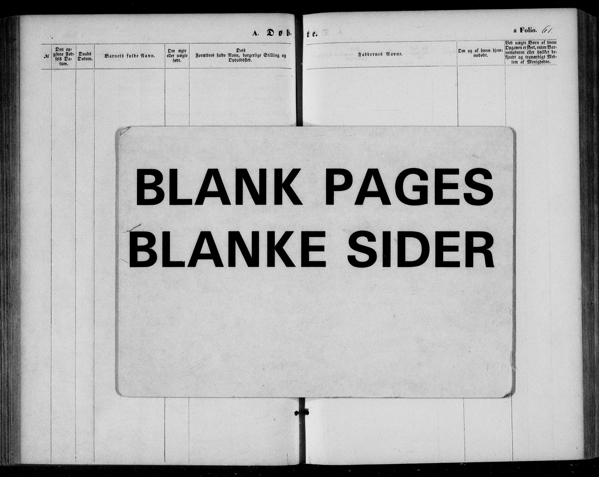Bjelland sokneprestkontor, AV/SAK-1111-0005/F/Fa/Fac/L0002: Parish register (official) no. A 2, 1866-1887, p. 61