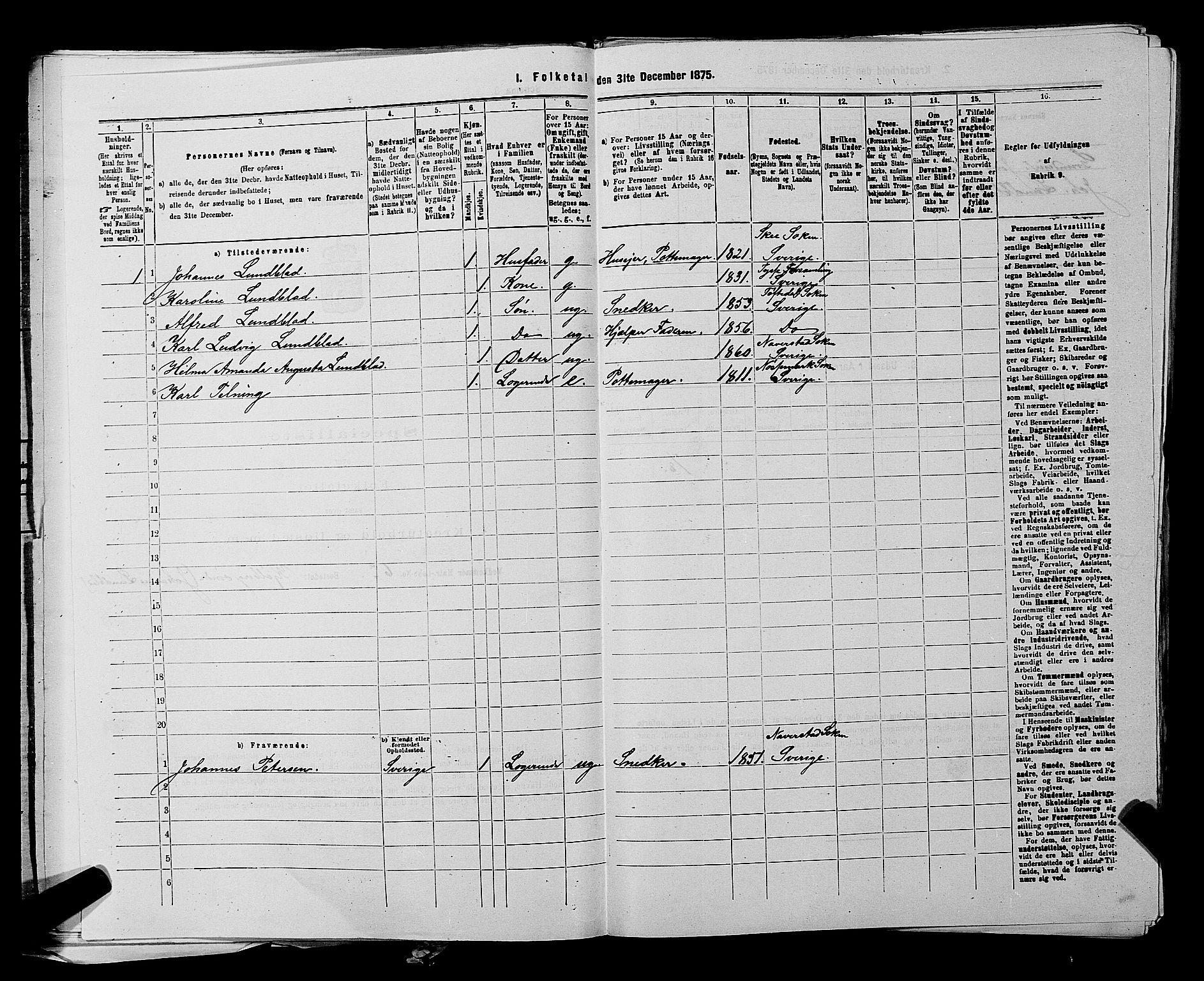 RA, 1875 census for 0113P Borge, 1875, p. 219
