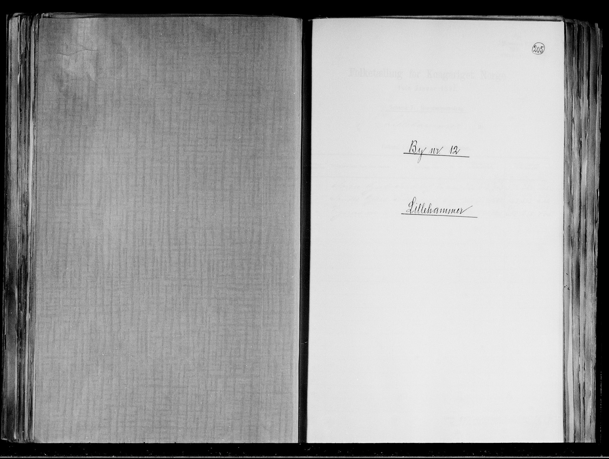 RA, 1891 census for 0501 Lillehammer, 1891, p. 1