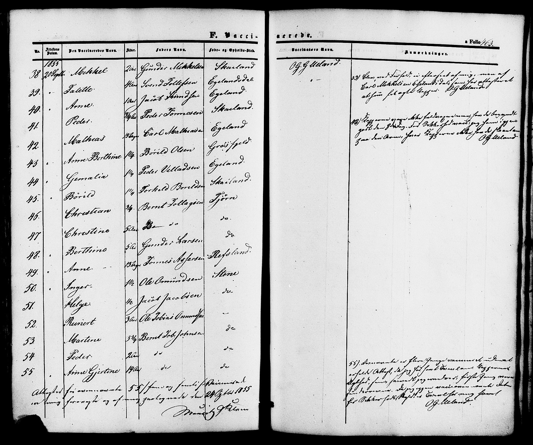 Lund sokneprestkontor, AV/SAST-A-101809/S06/L0010: Parish register (official) no. A 9, 1854-1886, p. 463