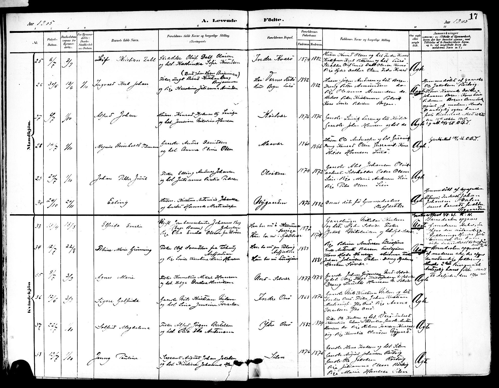 Ministerialprotokoller, klokkerbøker og fødselsregistre - Nordland, AV/SAT-A-1459/839/L0569: Parish register (official) no. 839A06, 1903-1922, p. 17