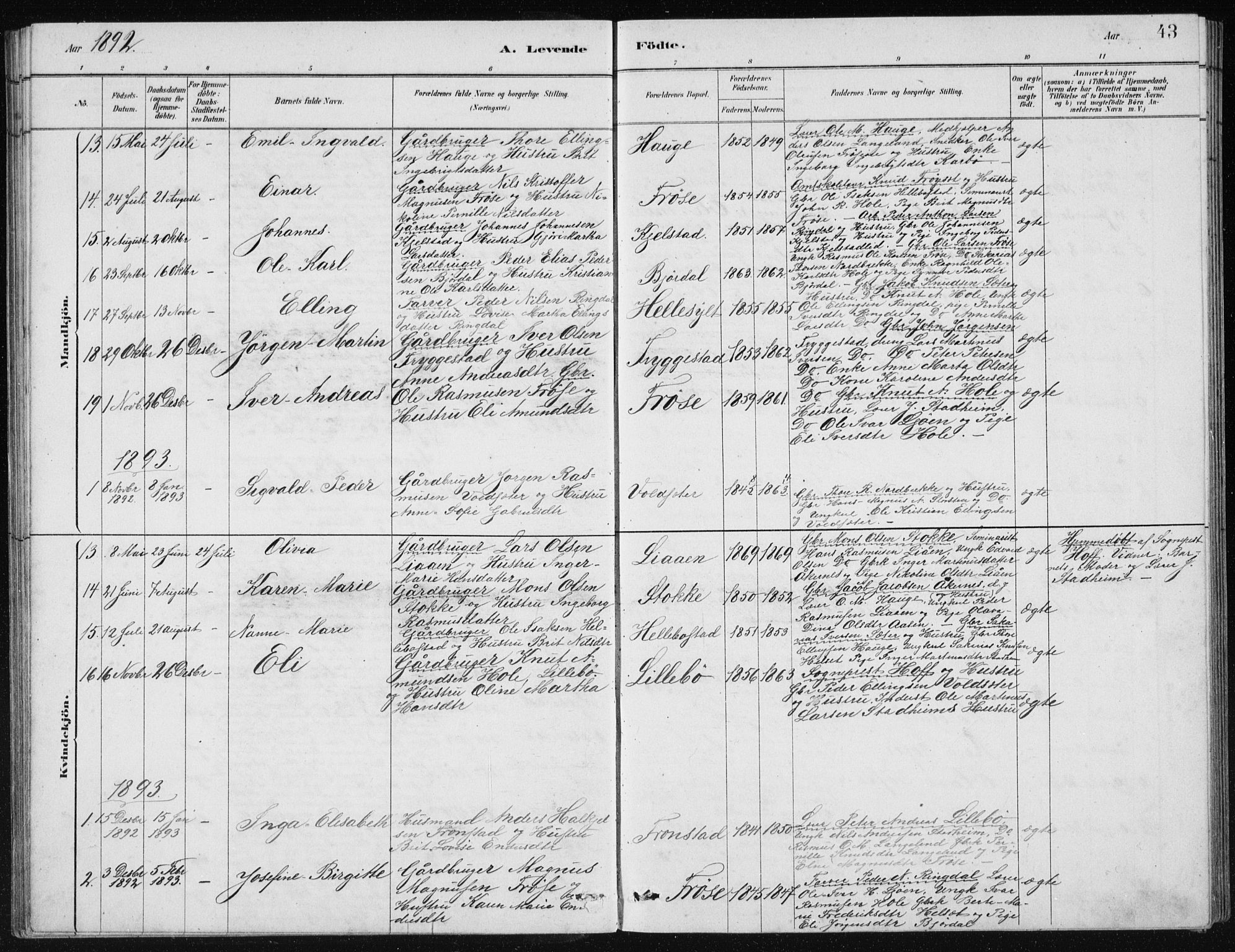 Ministerialprotokoller, klokkerbøker og fødselsregistre - Møre og Romsdal, SAT/A-1454/517/L0230: Parish register (copy) no. 517C03, 1879-1912, p. 43