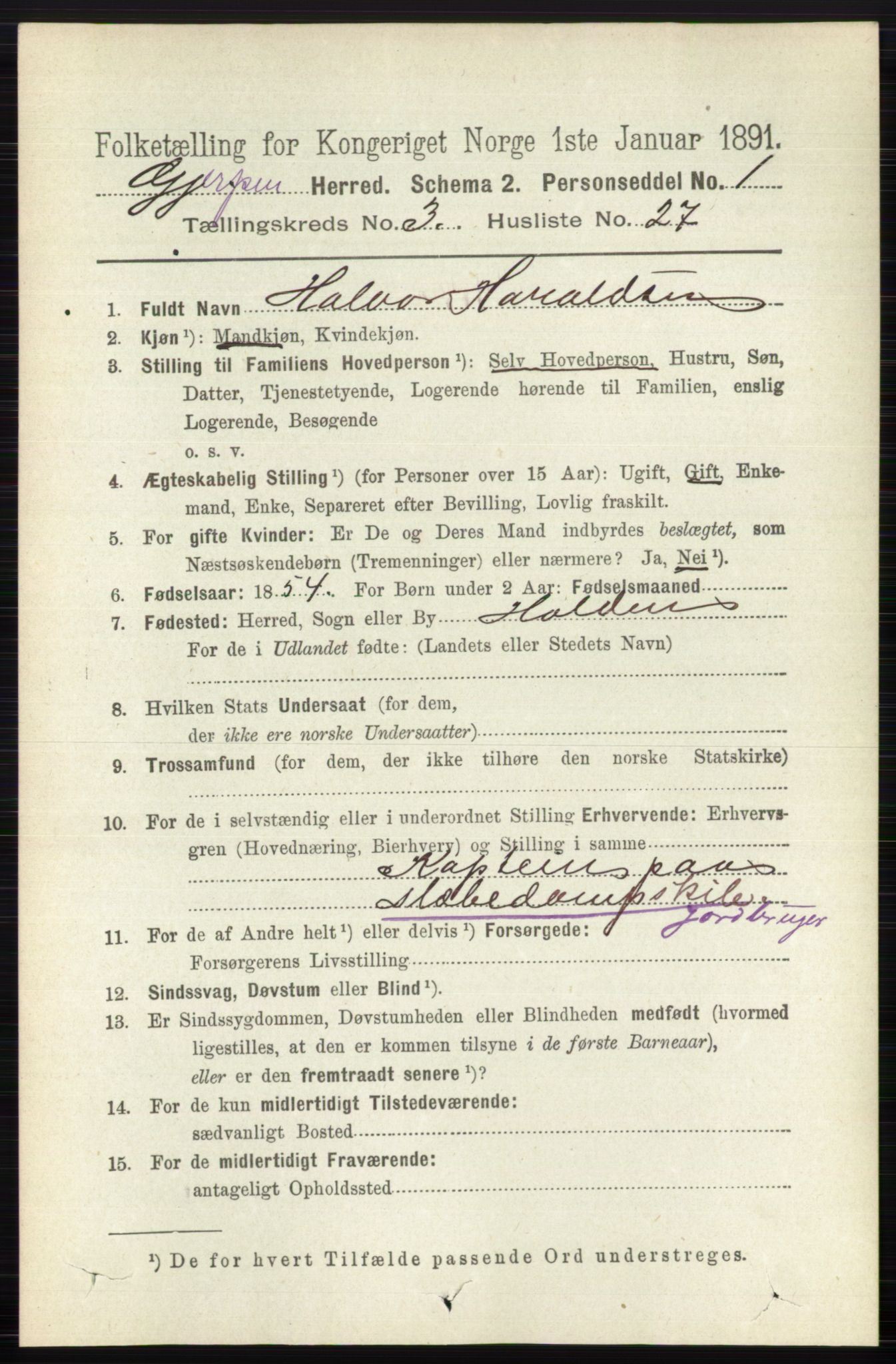 RA, 1891 census for 0812 Gjerpen, 1891, p. 1655