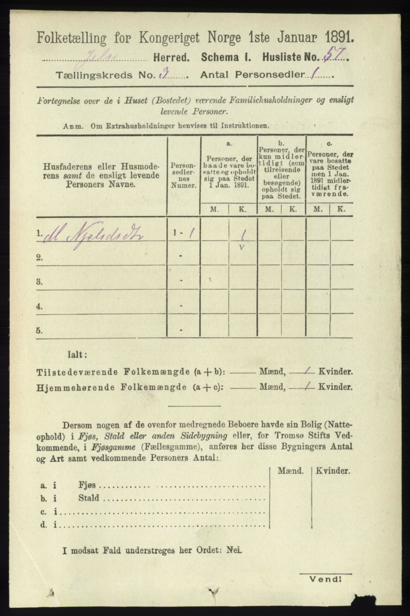 RA, 1891 census for 1138 Jelsa, 1891, p. 374