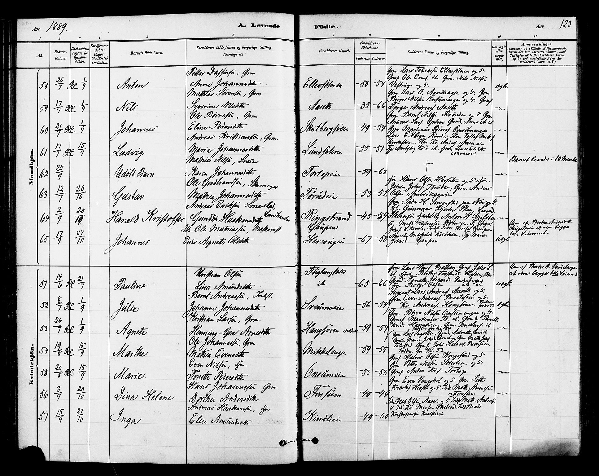 Ringsaker prestekontor, AV/SAH-PREST-014/L/La/L0009: Parish register (copy) no. 9, 1879-1890, p. 123