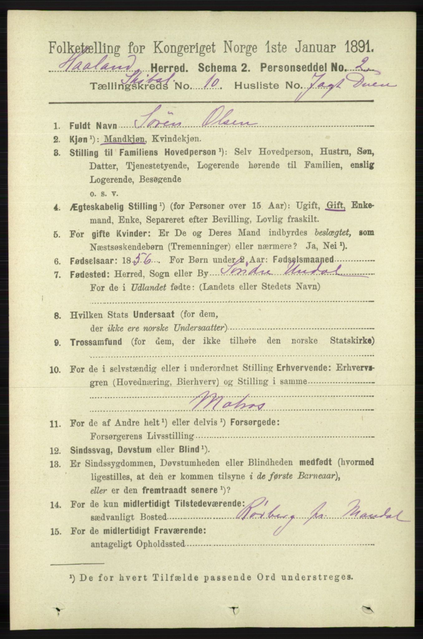 RA, 1891 census for 1124 Haaland, 1891, p. 4102