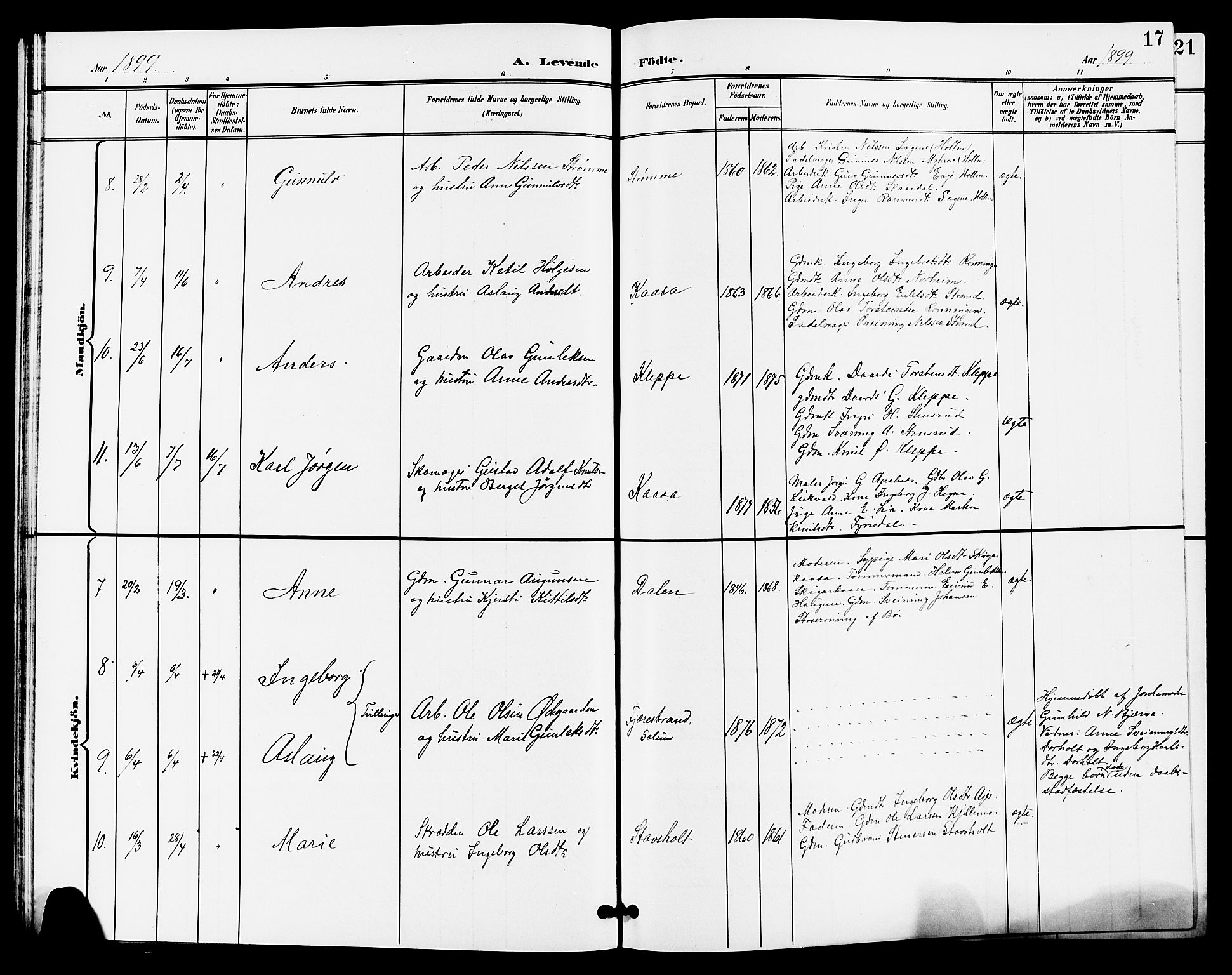 Lunde kirkebøker, AV/SAKO-A-282/G/Ga/L0003: Parish register (copy) no. I 3, 1896-1905, p. 17