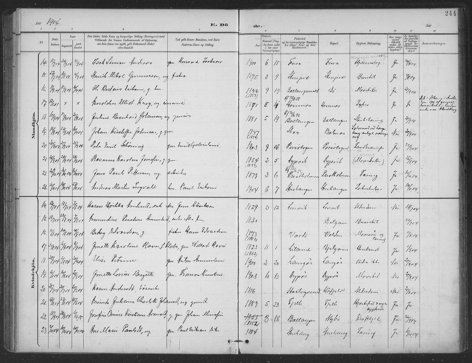 Ministerialprotokoller, klokkerbøker og fødselsregistre - Nordland, SAT/A-1459/863/L0899: Parish register (official) no. 863A11, 1897-1906, p. 244