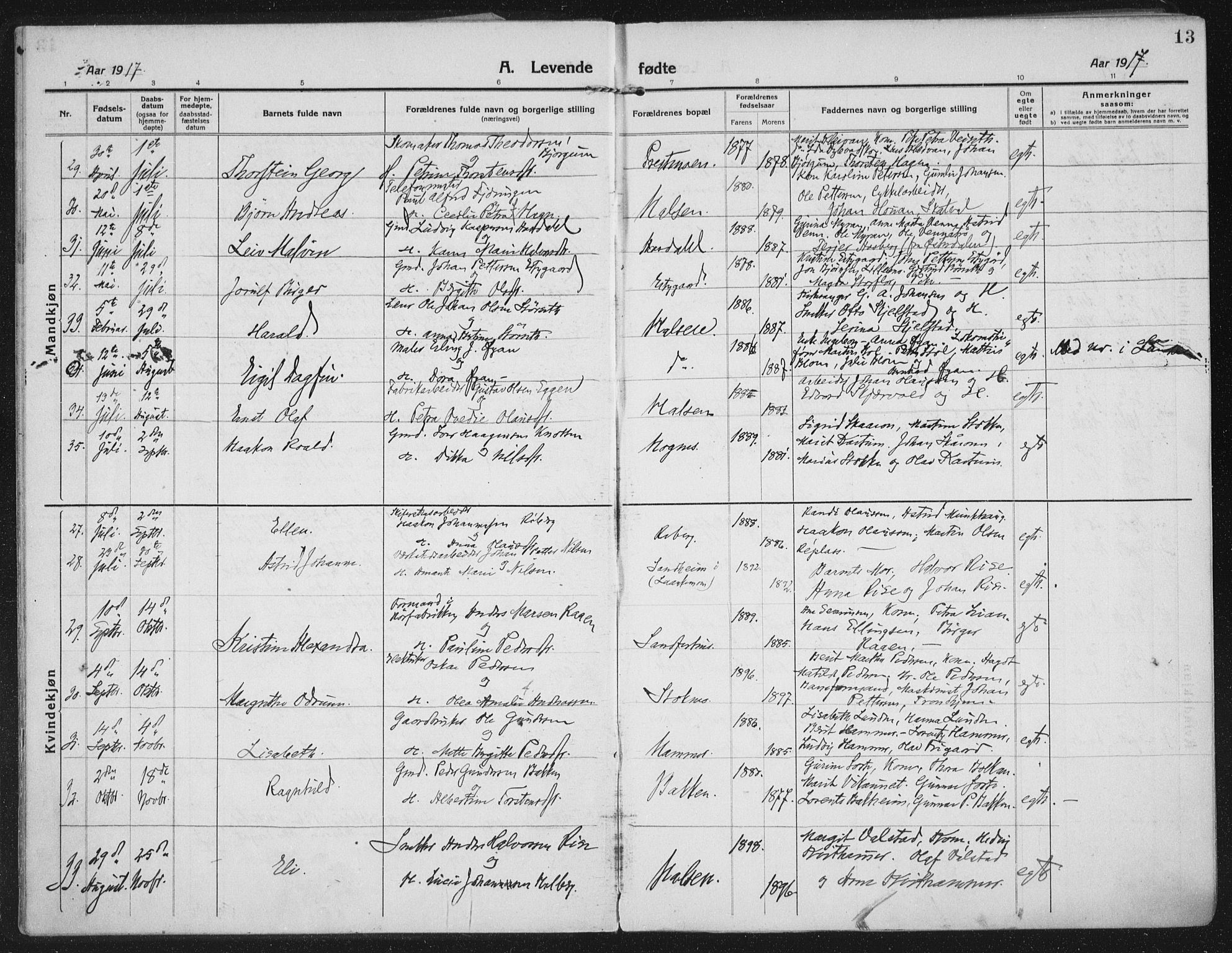 Ministerialprotokoller, klokkerbøker og fødselsregistre - Nord-Trøndelag, AV/SAT-A-1458/709/L0083: Parish register (official) no. 709A23, 1916-1928, p. 13