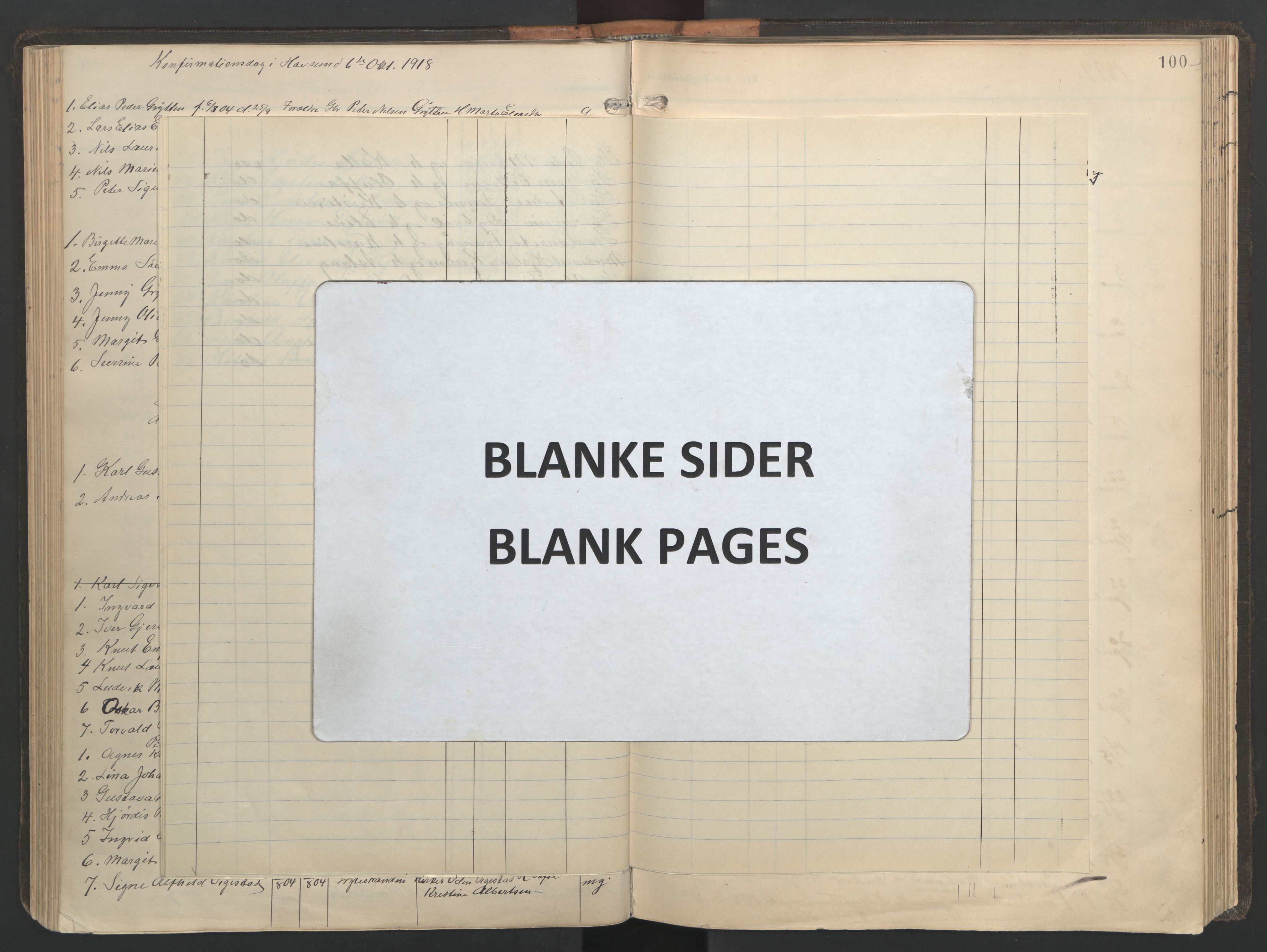 Ministerialprotokoller, klokkerbøker og fødselsregistre - Møre og Romsdal, AV/SAT-A-1454/528/L0433: Parish register (copy) no. 528C14, 1899-1922, p. 100