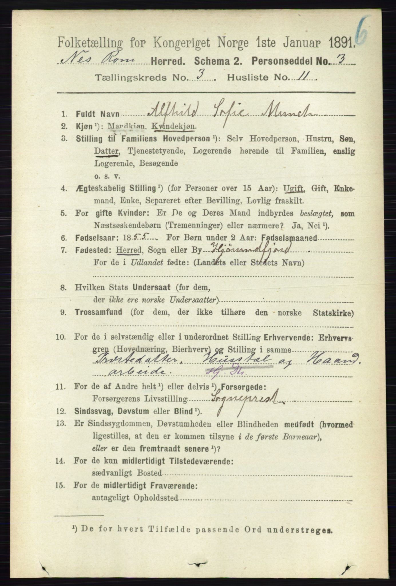 RA, 1891 census for 0236 Nes, 1891, p. 1666