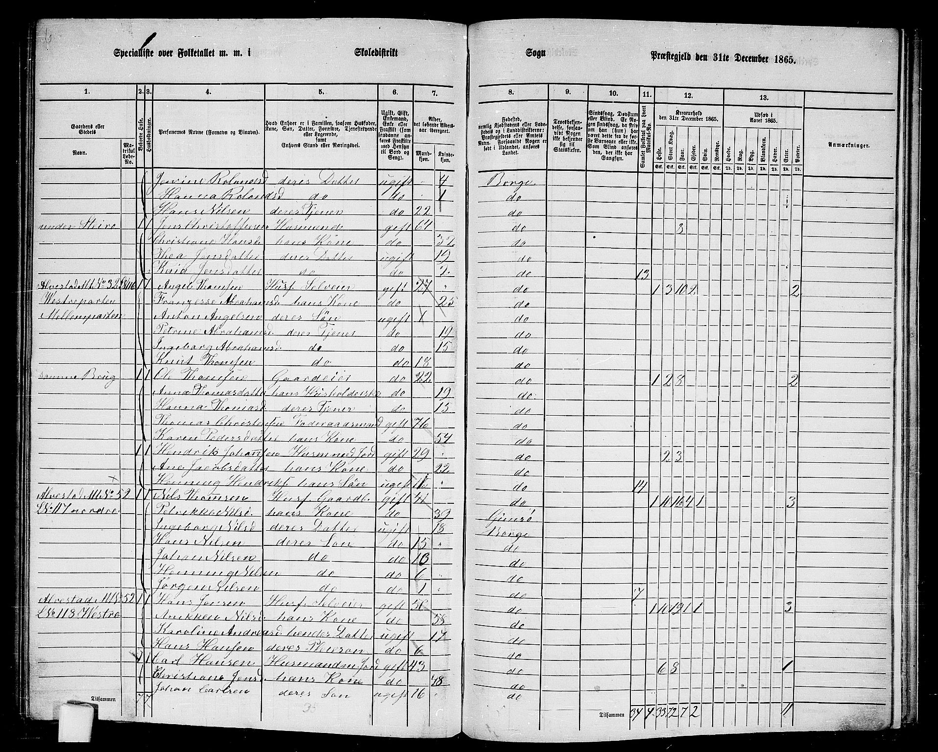 RA, 1865 census for Borge, 1865, p. 76