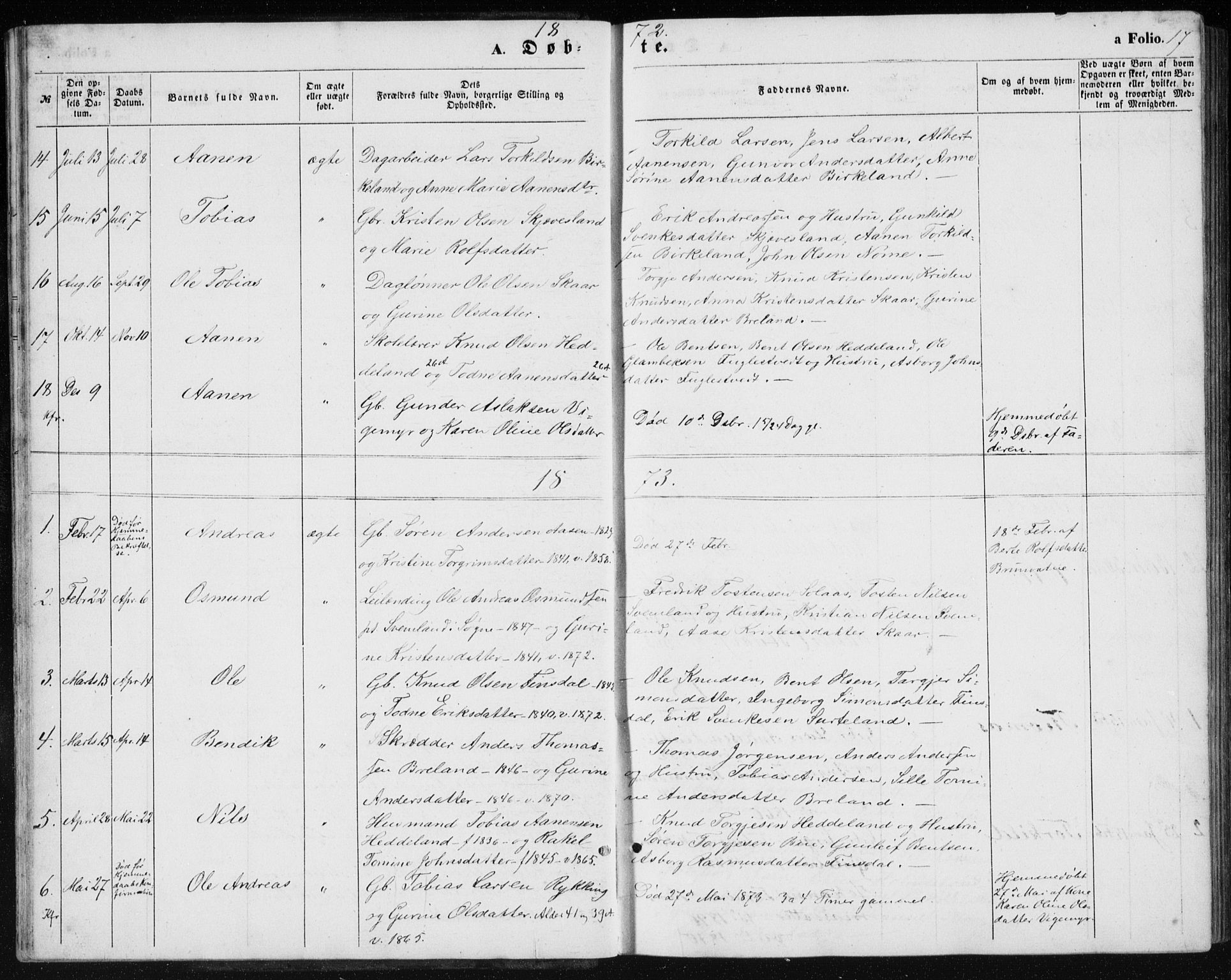 Holum sokneprestkontor, AV/SAK-1111-0022/F/Fb/Fbc/L0002: Parish register (copy) no. B 2, 1860-1882, p. 17