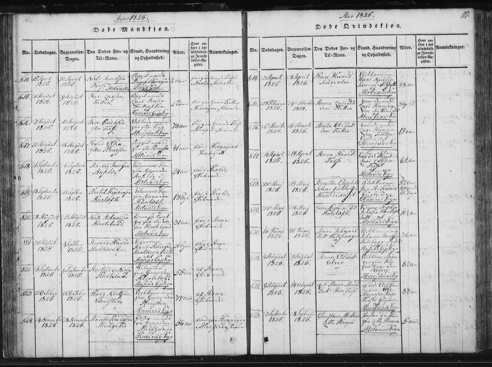 Hamre sokneprestembete, AV/SAB-A-75501/H/Ha/Haa/Haaa/L0010: Parish register (official) no. A 10, 1816-1826, p. 117