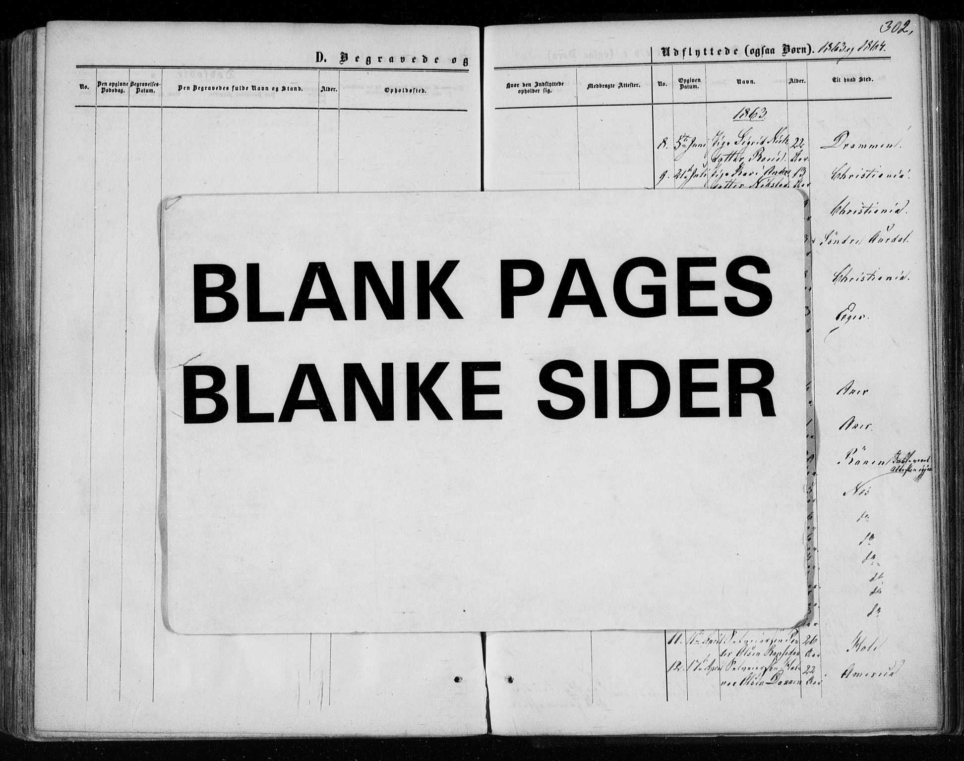 Gol kirkebøker, AV/SAKO-A-226/F/Fa/L0003: Parish register (official) no. I 3, 1863-1875, p. 302