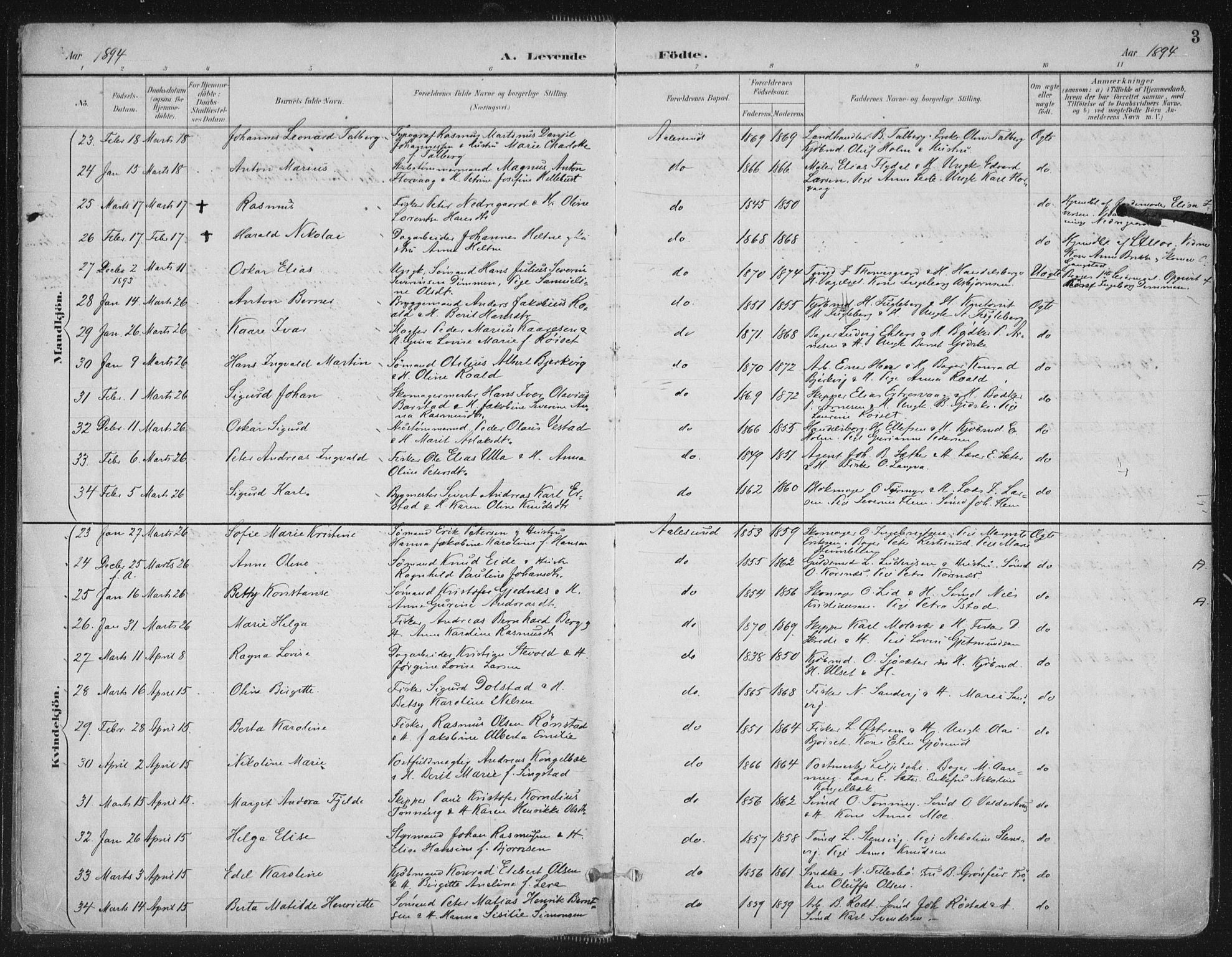 Ministerialprotokoller, klokkerbøker og fødselsregistre - Møre og Romsdal, AV/SAT-A-1454/529/L0456: Parish register (official) no. 529A06, 1894-1906, p. 3