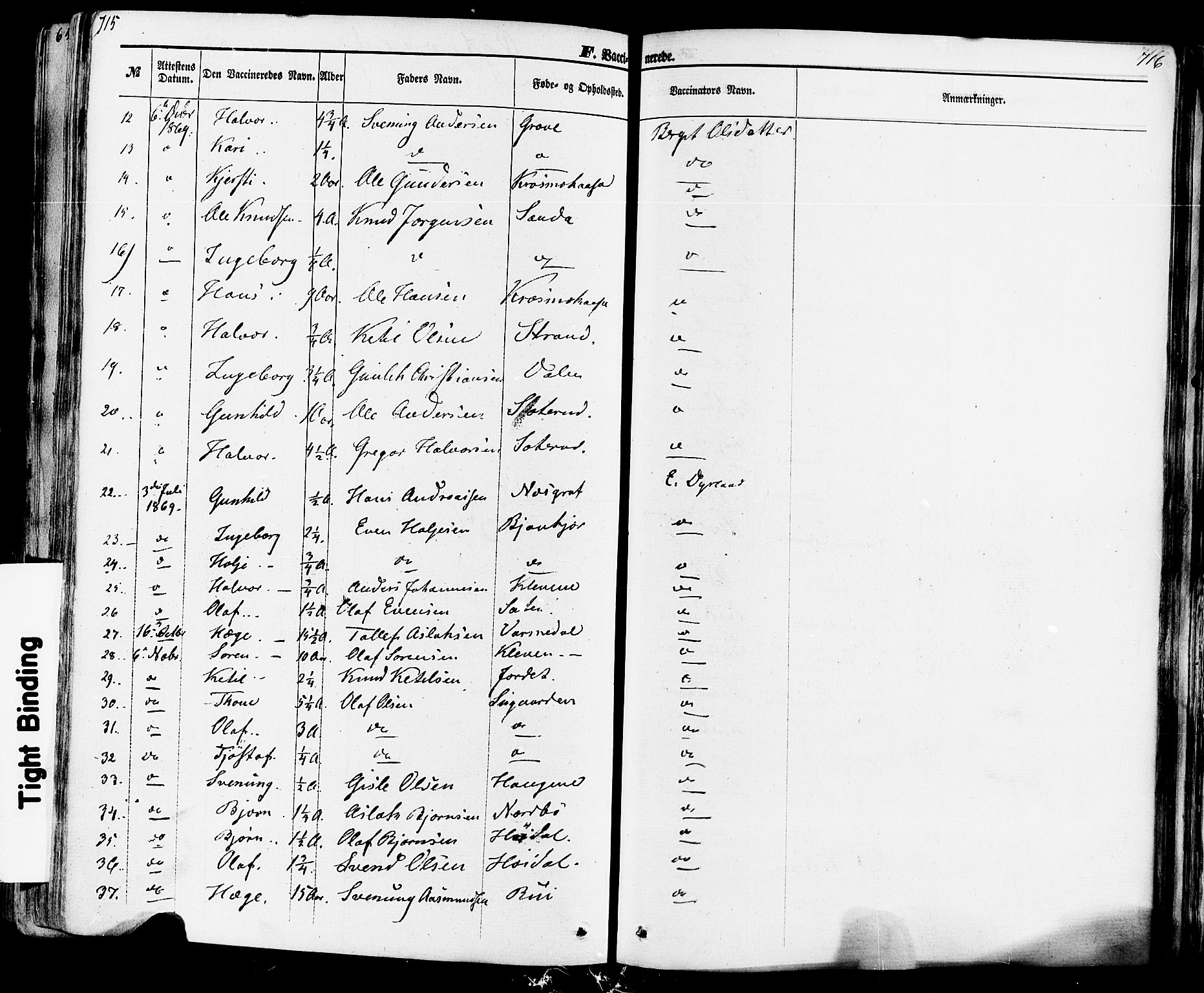 Seljord kirkebøker, AV/SAKO-A-20/F/Fa/L0013: Parish register (official) no. I 13, 1866-1876, p. 715-716