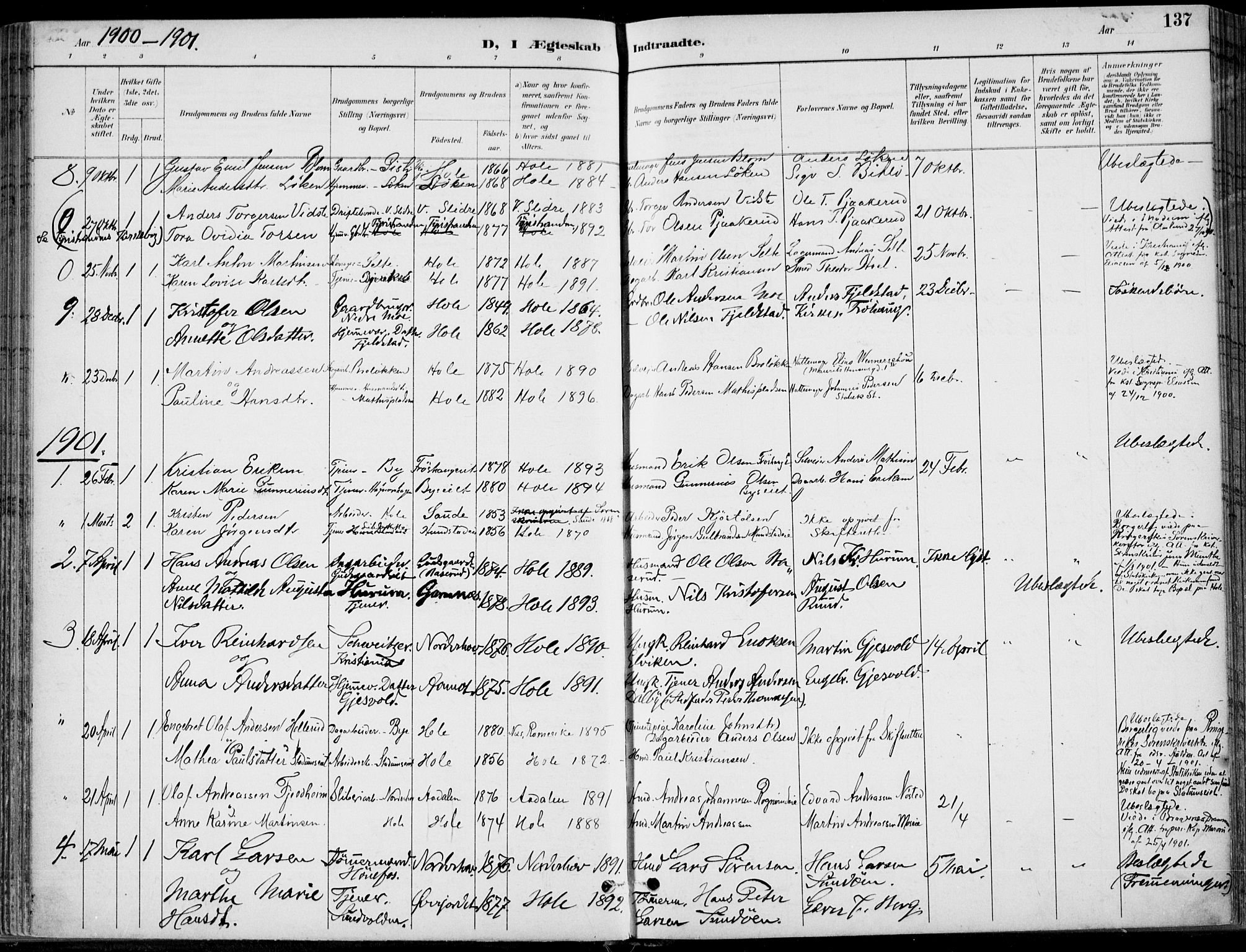 Hole kirkebøker, AV/SAKO-A-228/F/Fa/L0009: Parish register (official) no. I 9, 1892-1907, p. 137