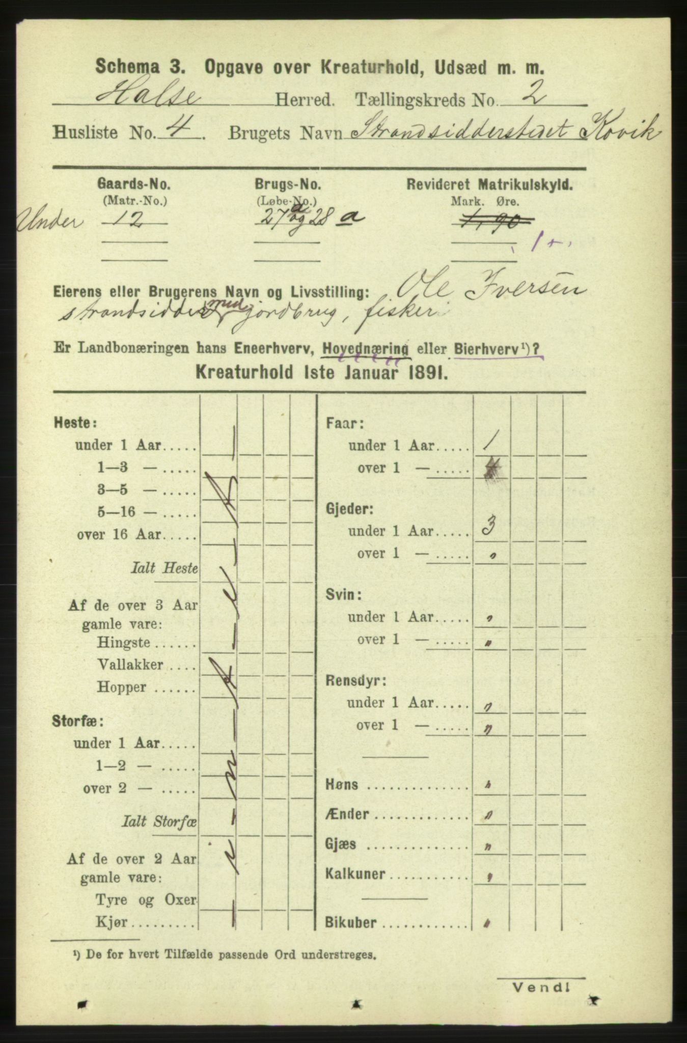 RA, 1891 census for 1571 Halsa, 1891, p. 1924