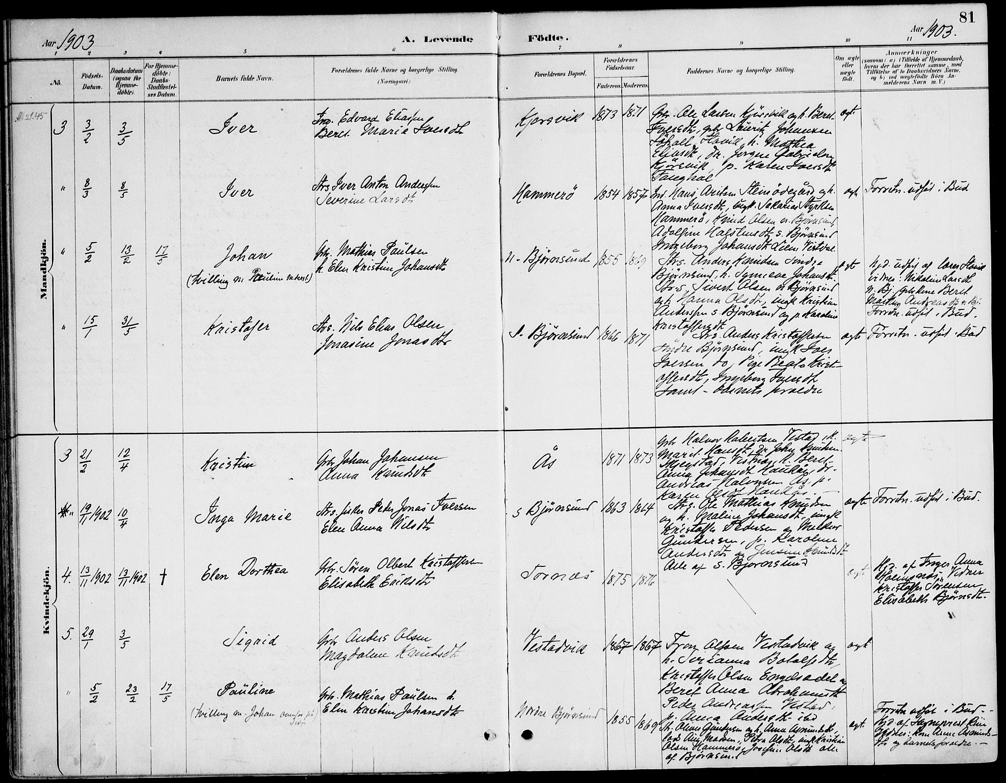 Ministerialprotokoller, klokkerbøker og fødselsregistre - Møre og Romsdal, AV/SAT-A-1454/565/L0750: Parish register (official) no. 565A04, 1887-1905, p. 81