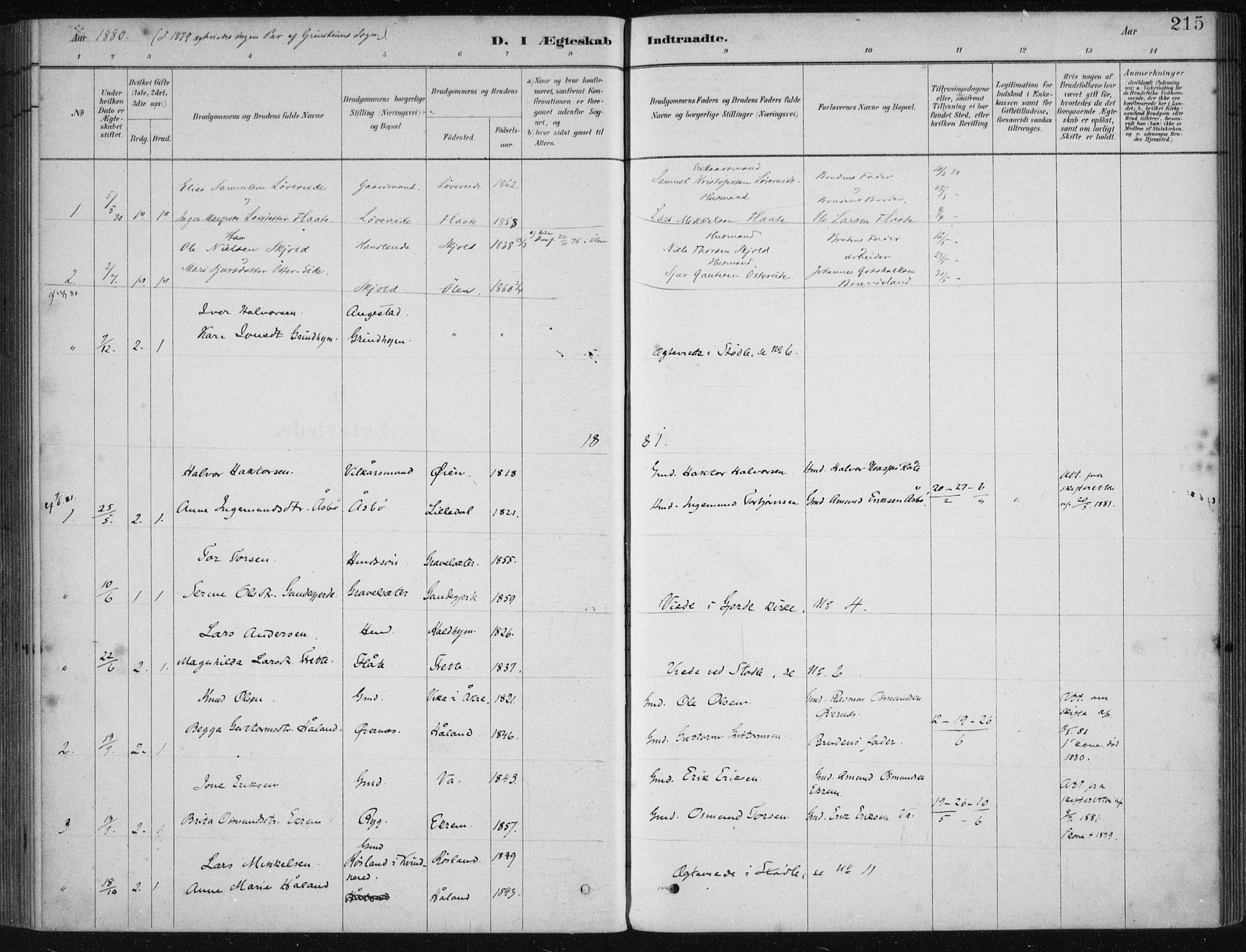 Etne sokneprestembete, SAB/A-75001/H/Haa: Parish register (official) no. D  1, 1879-1919, p. 215