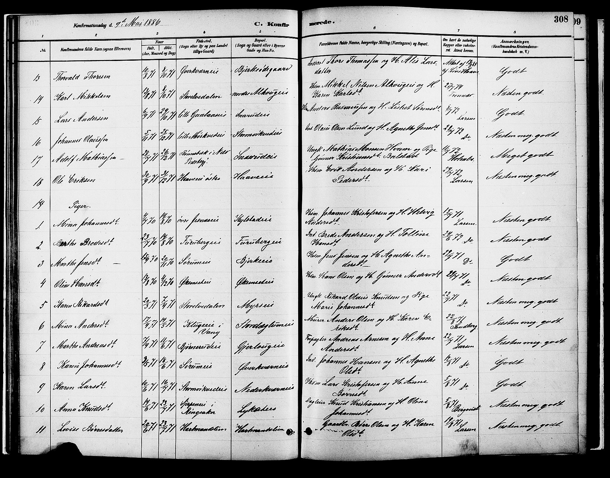 Vang prestekontor, Hedmark, SAH/PREST-008/H/Ha/Haa/L0018B: Parish register (official) no. 18B, 1880-1906, p. 308