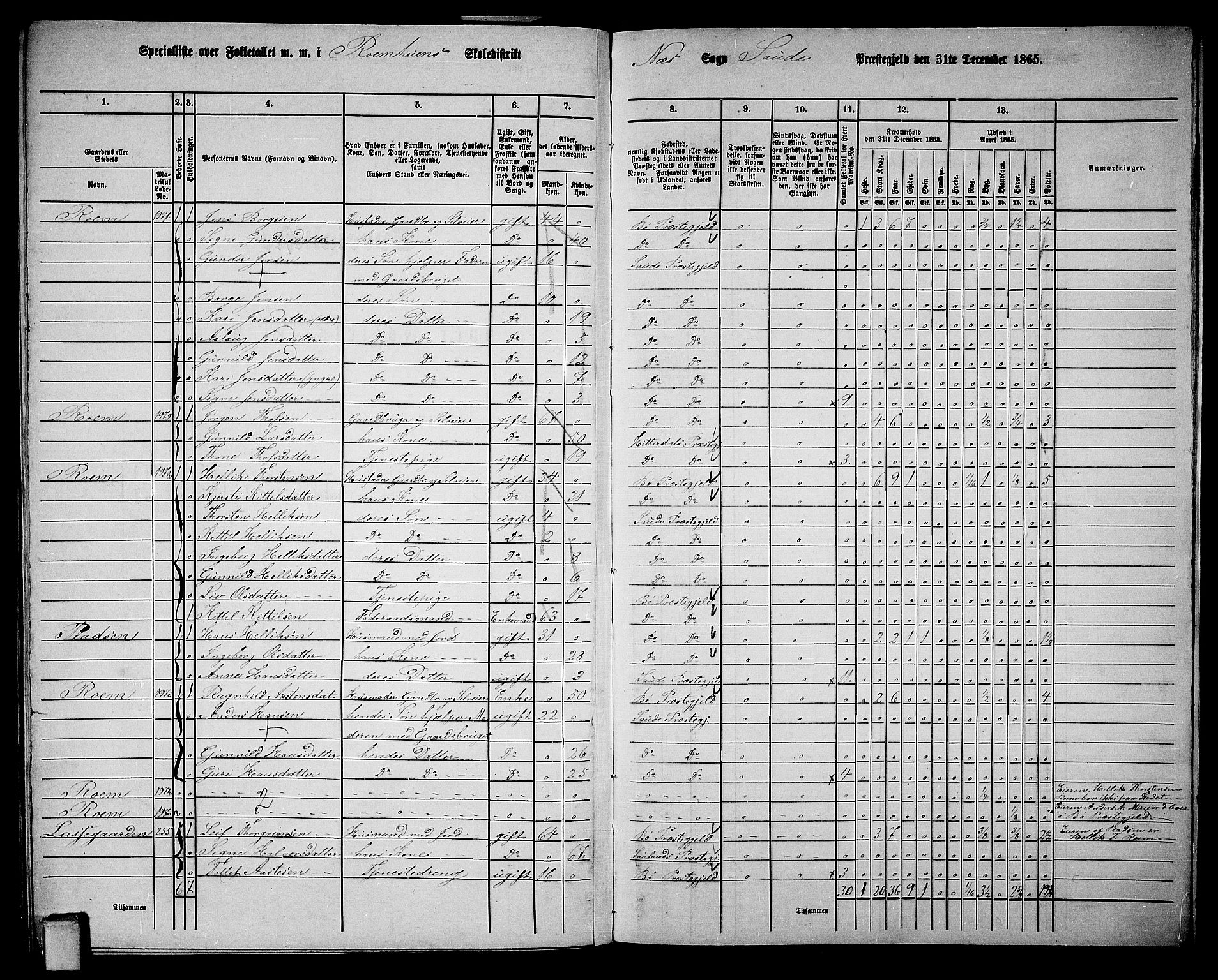 RA, 1865 census for Sauherad, 1865, p. 174