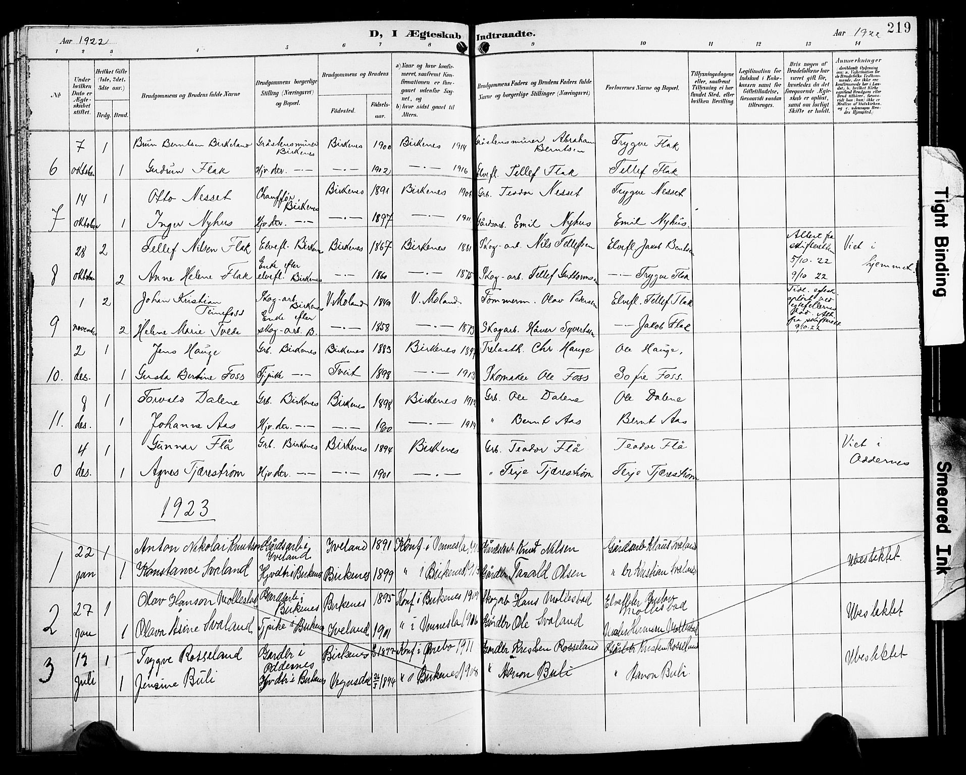 Birkenes sokneprestkontor, SAK/1111-0004/F/Fb/L0004: Parish register (copy) no. B 4, 1893-1930, p. 219