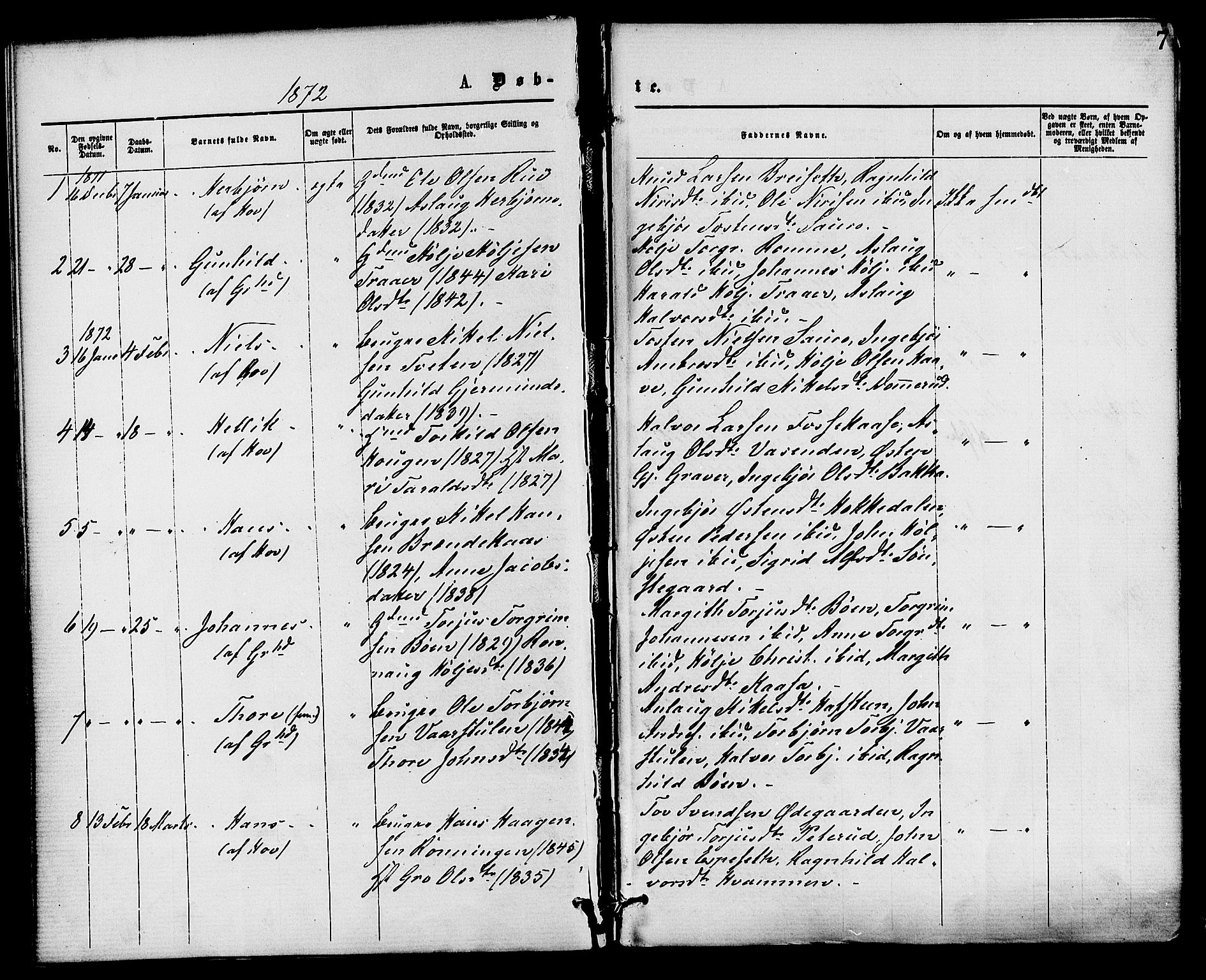 Gransherad kirkebøker, SAKO/A-267/F/Fa/L0004: Parish register (official) no. I 4, 1871-1886, p. 7