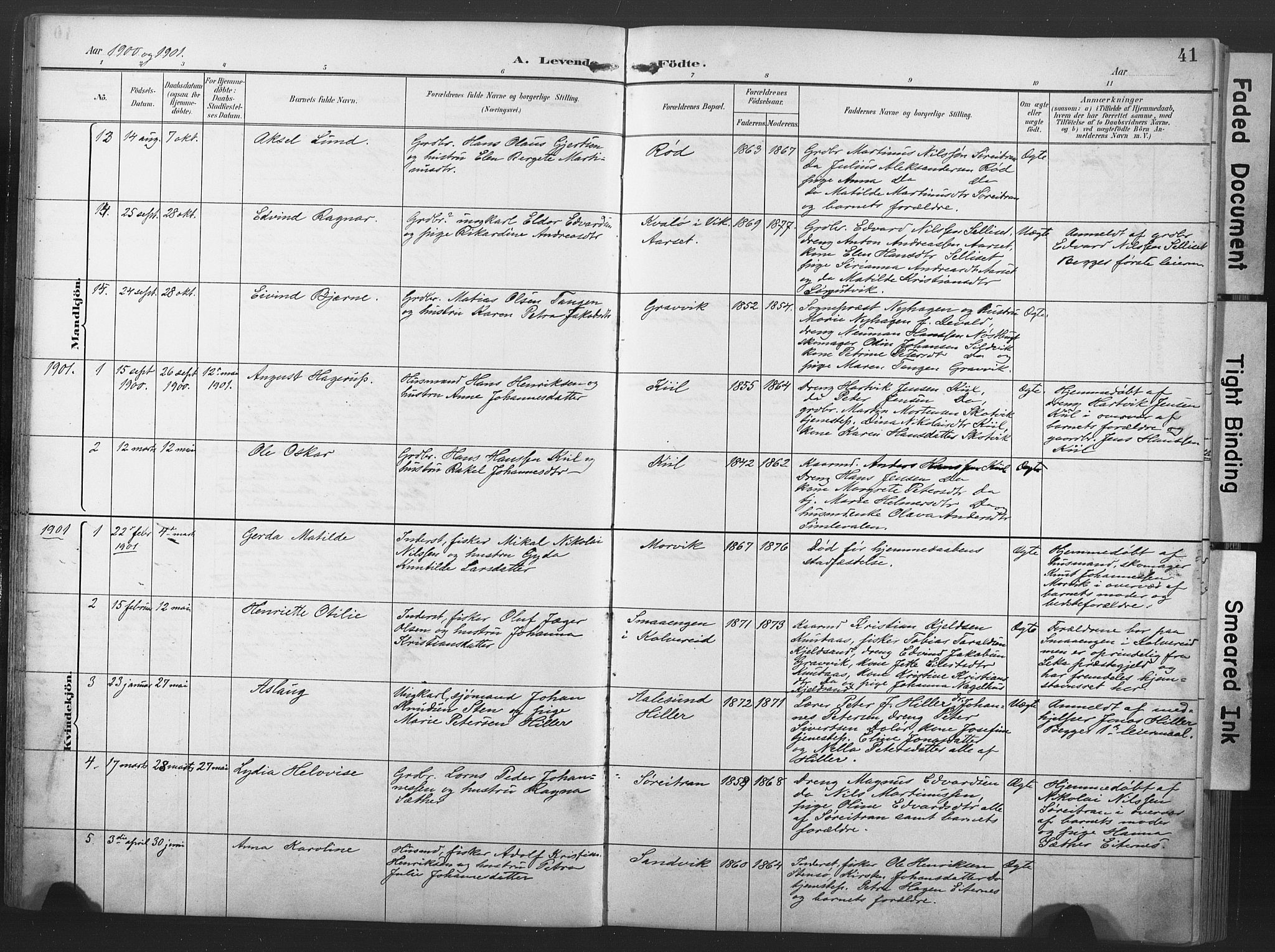 Ministerialprotokoller, klokkerbøker og fødselsregistre - Nord-Trøndelag, SAT/A-1458/789/L0706: Parish register (copy) no. 789C01, 1888-1931, p. 41