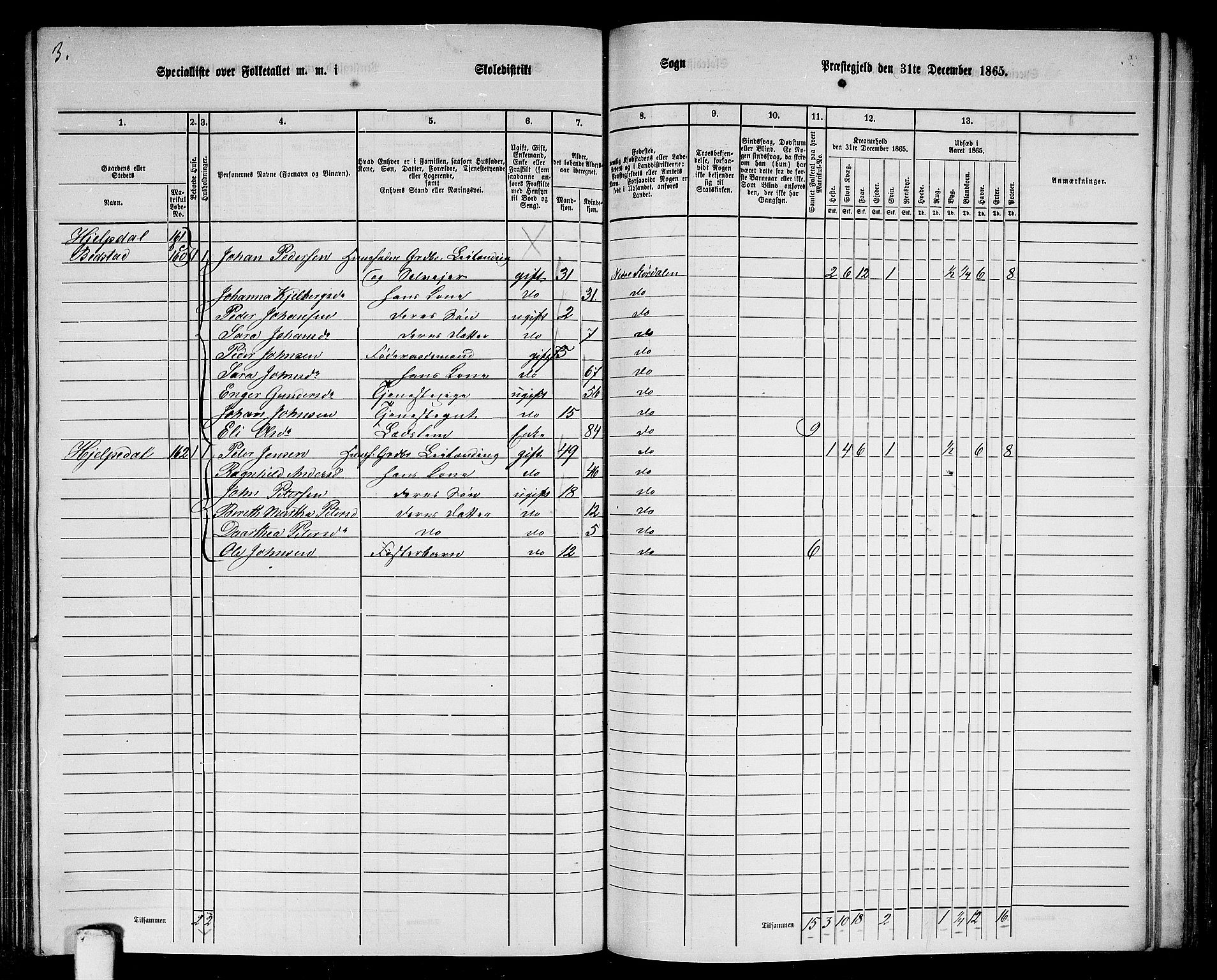 RA, 1865 census for Nedre Stjørdal, 1865, p. 204